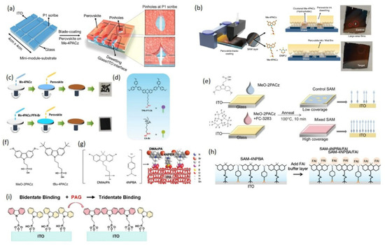 A Comprehensive Review of Self-Assembled Monolayers as Hole