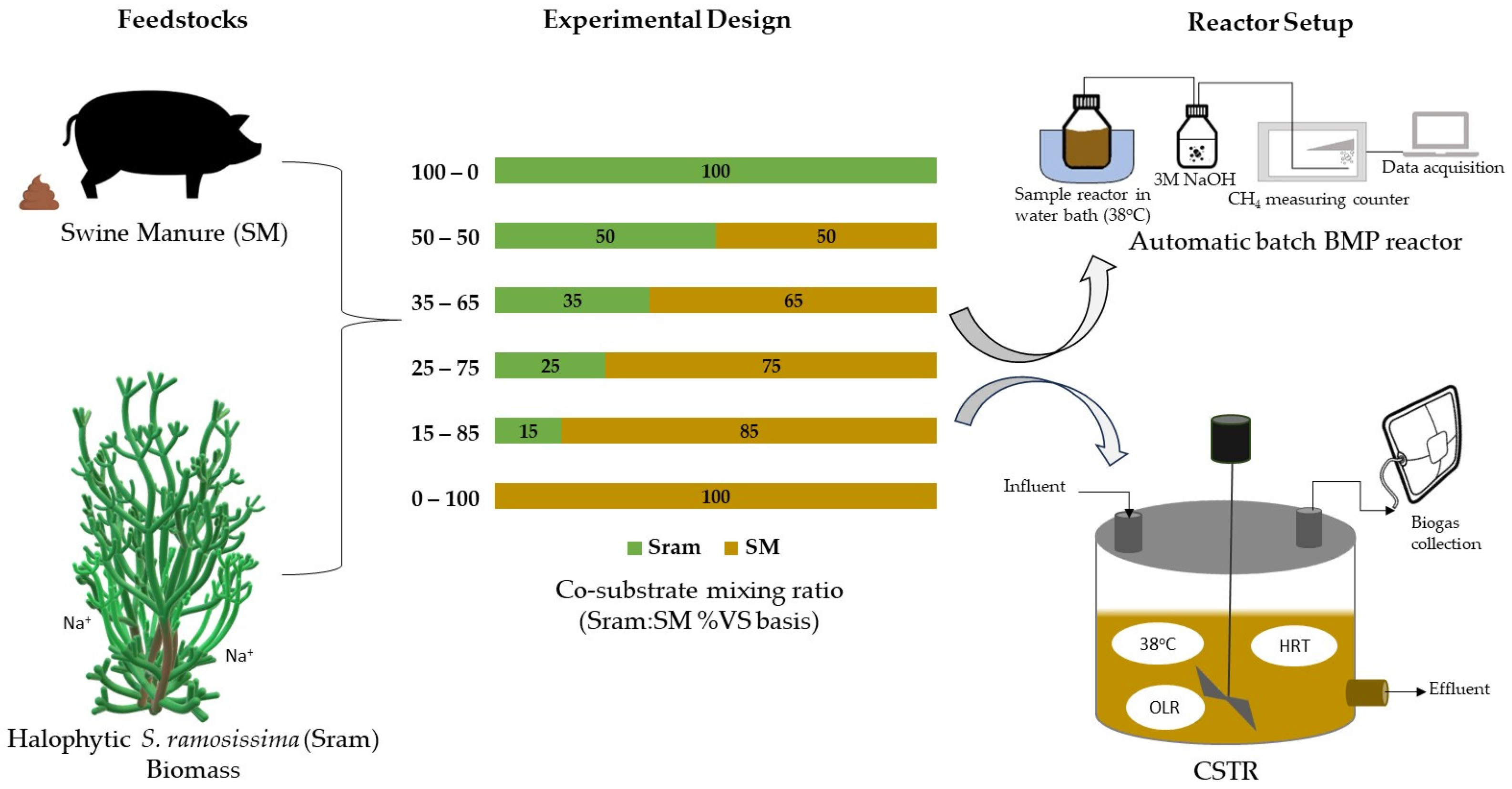 Energies 18 03085 g001