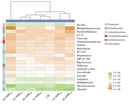 Gene上海 Combined Effects of Biochar and Rhamnolipid on Phenanthrene