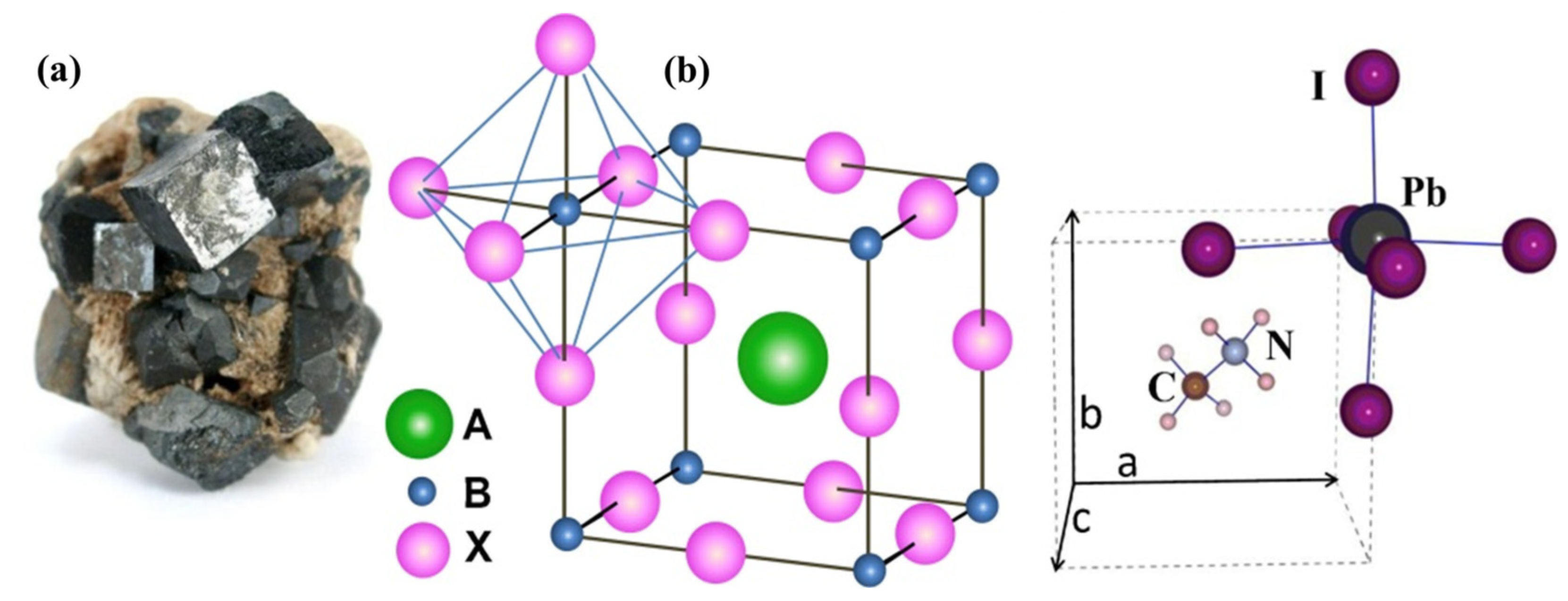 Recent Advancements in Understanding Hot Carrier Dynamics in