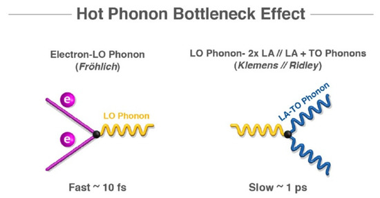 Recent Advancements in Understanding Hot Carrier Dynamics in