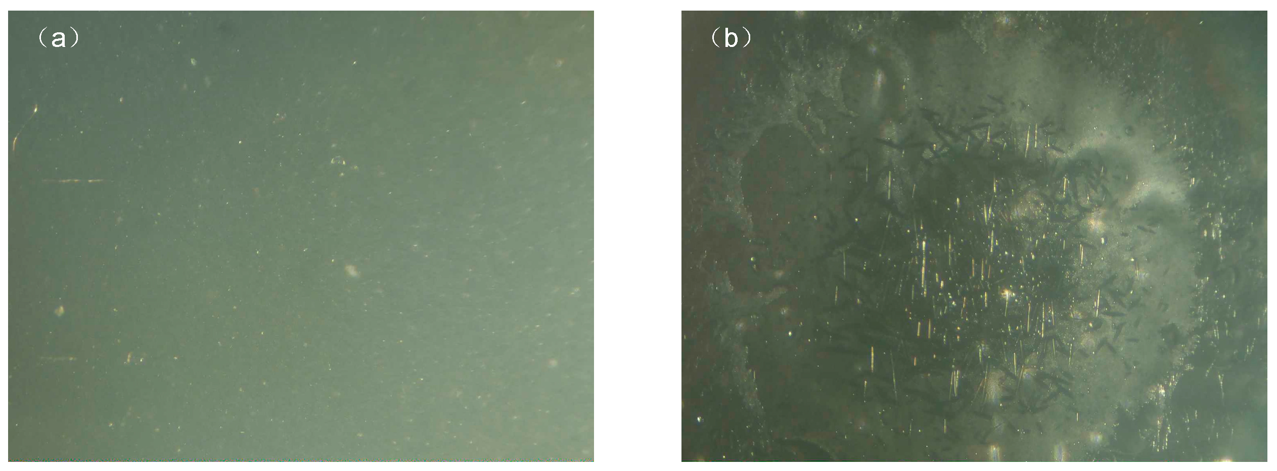 Energies 18 03767 g008