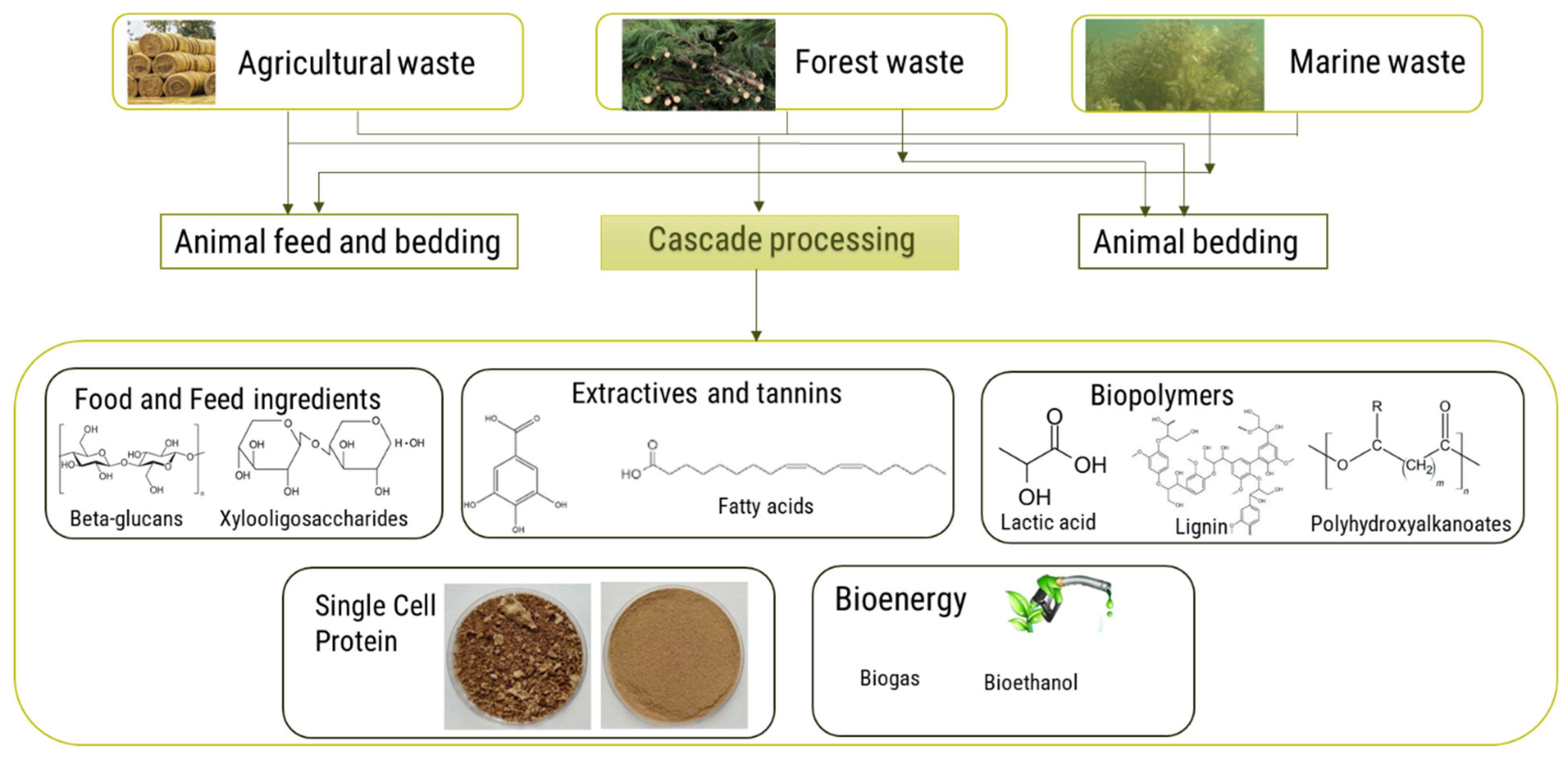 Energies 18 04093 g002 Energies 18 04093 g002