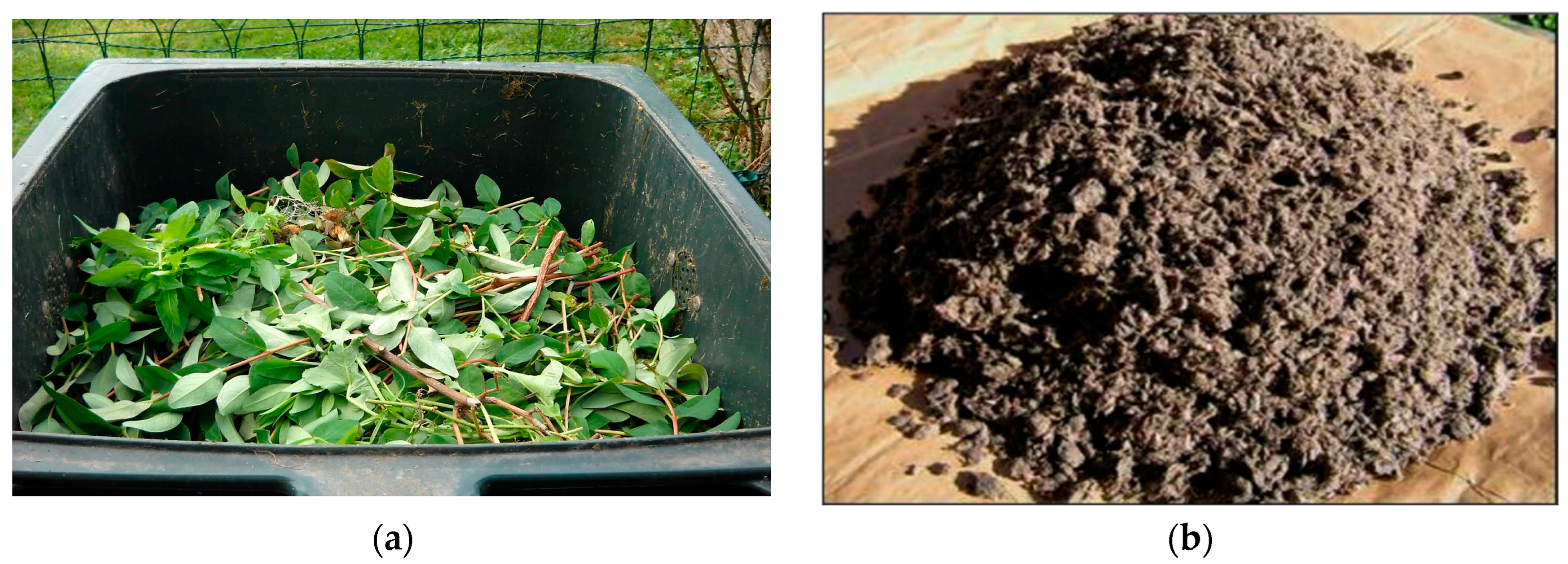 Energies 18 04194 g009 Energies 18 04194 g009