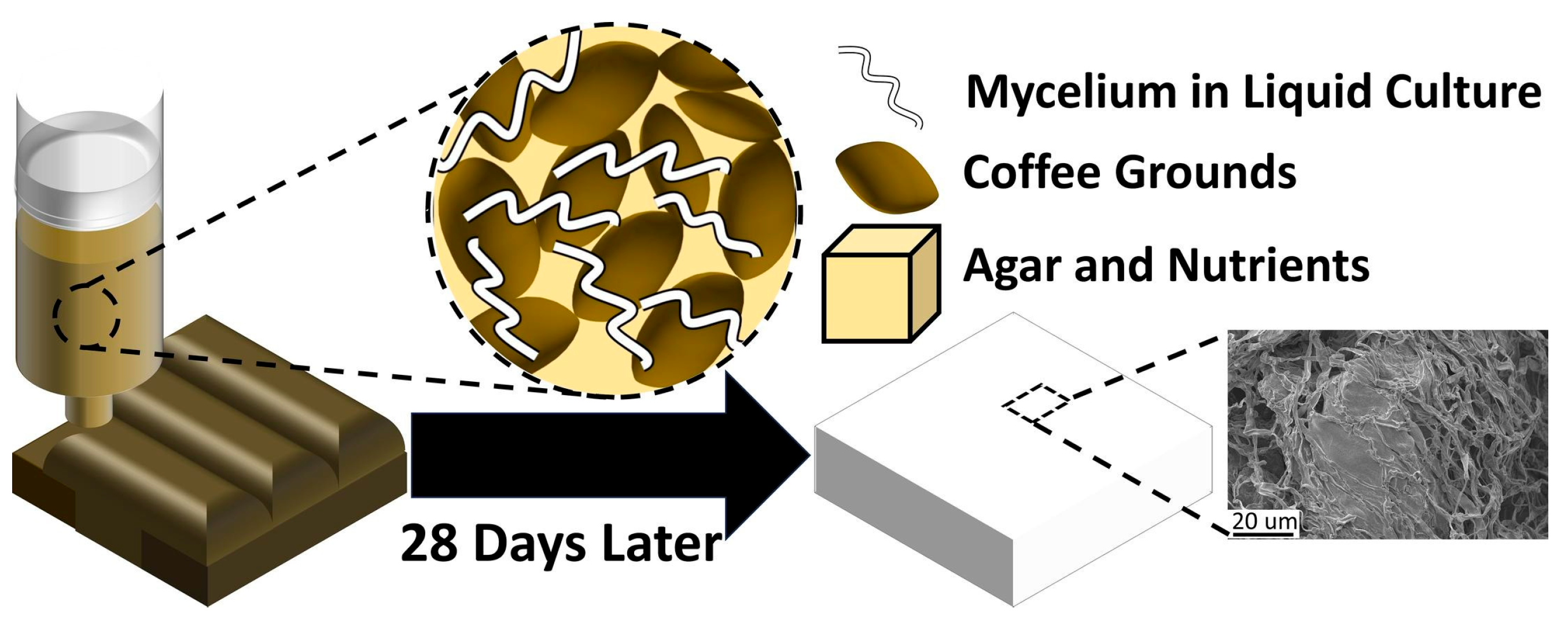 Energies 18 04225 g002