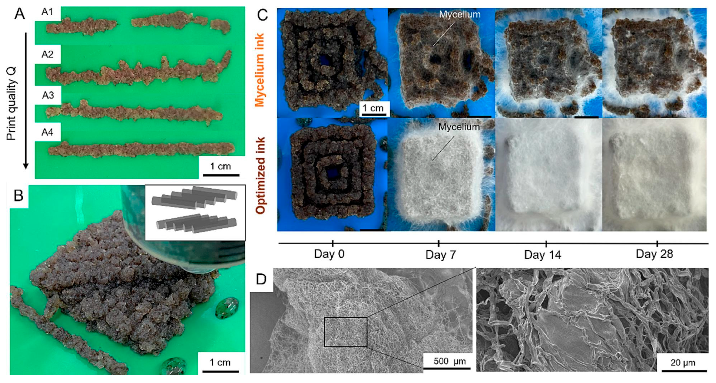 Energies 18 04225 g003
