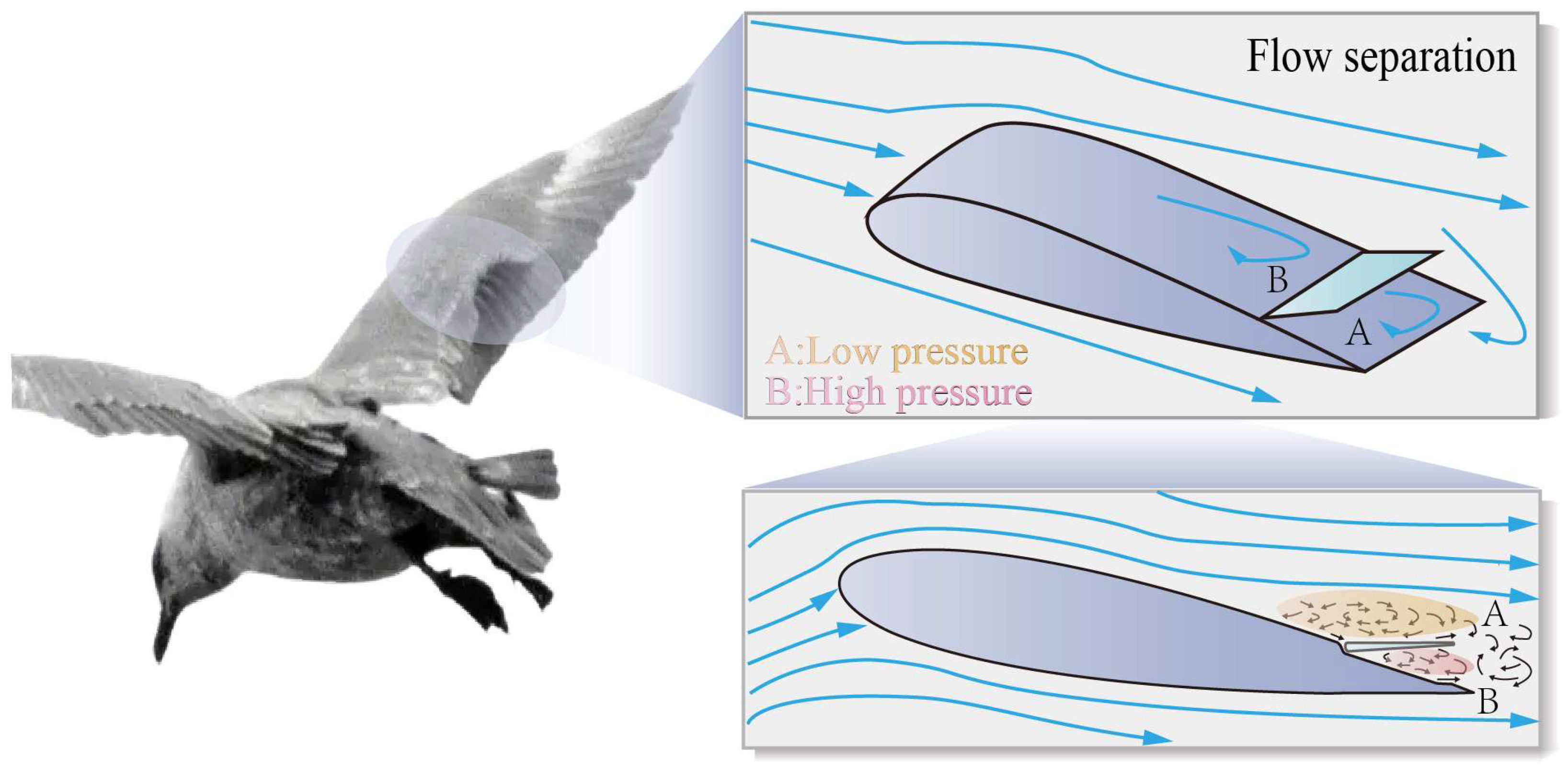 Energies 18 04333 g002