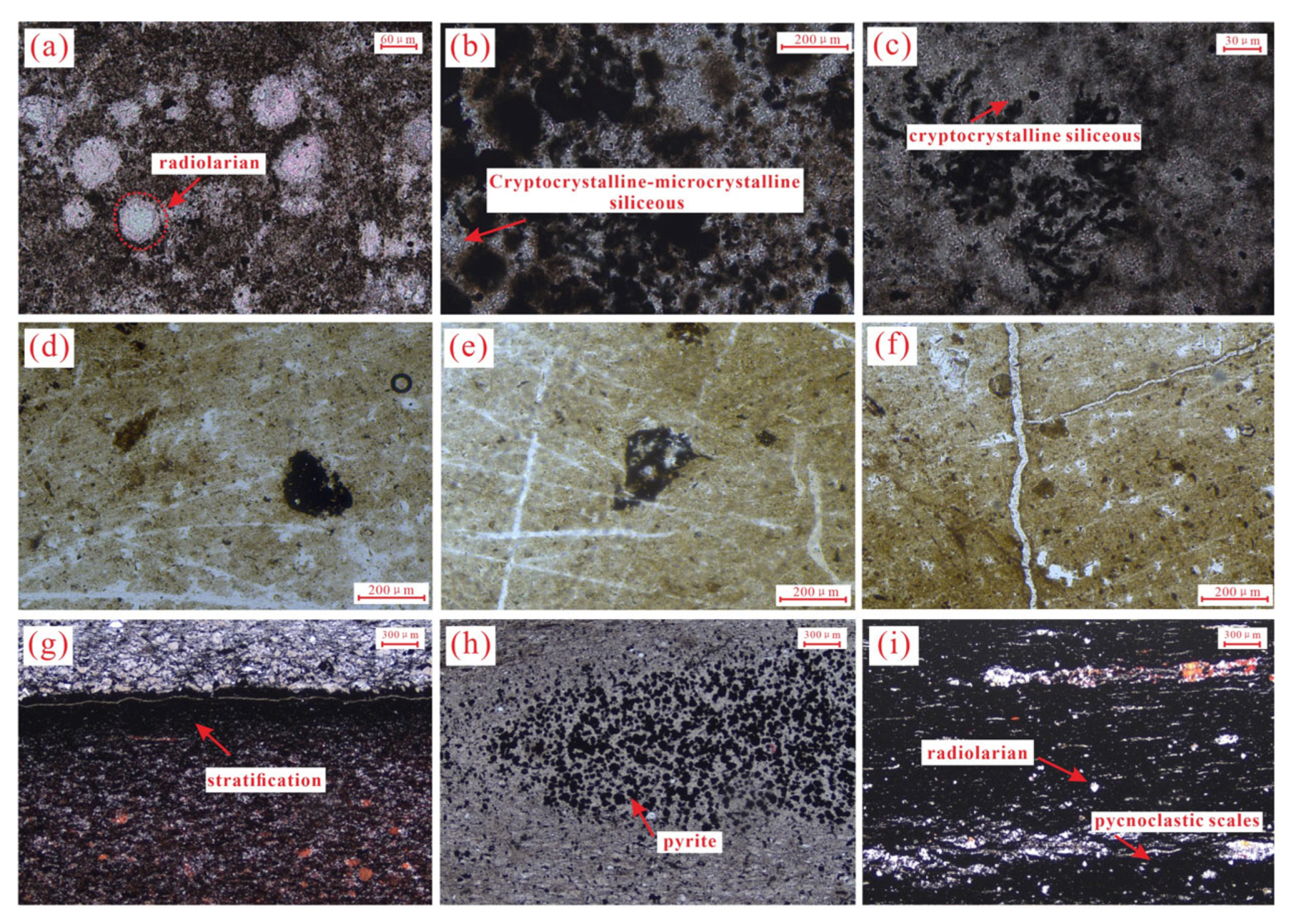 Energies 18 04506 g008 Energies 18 04506 g008