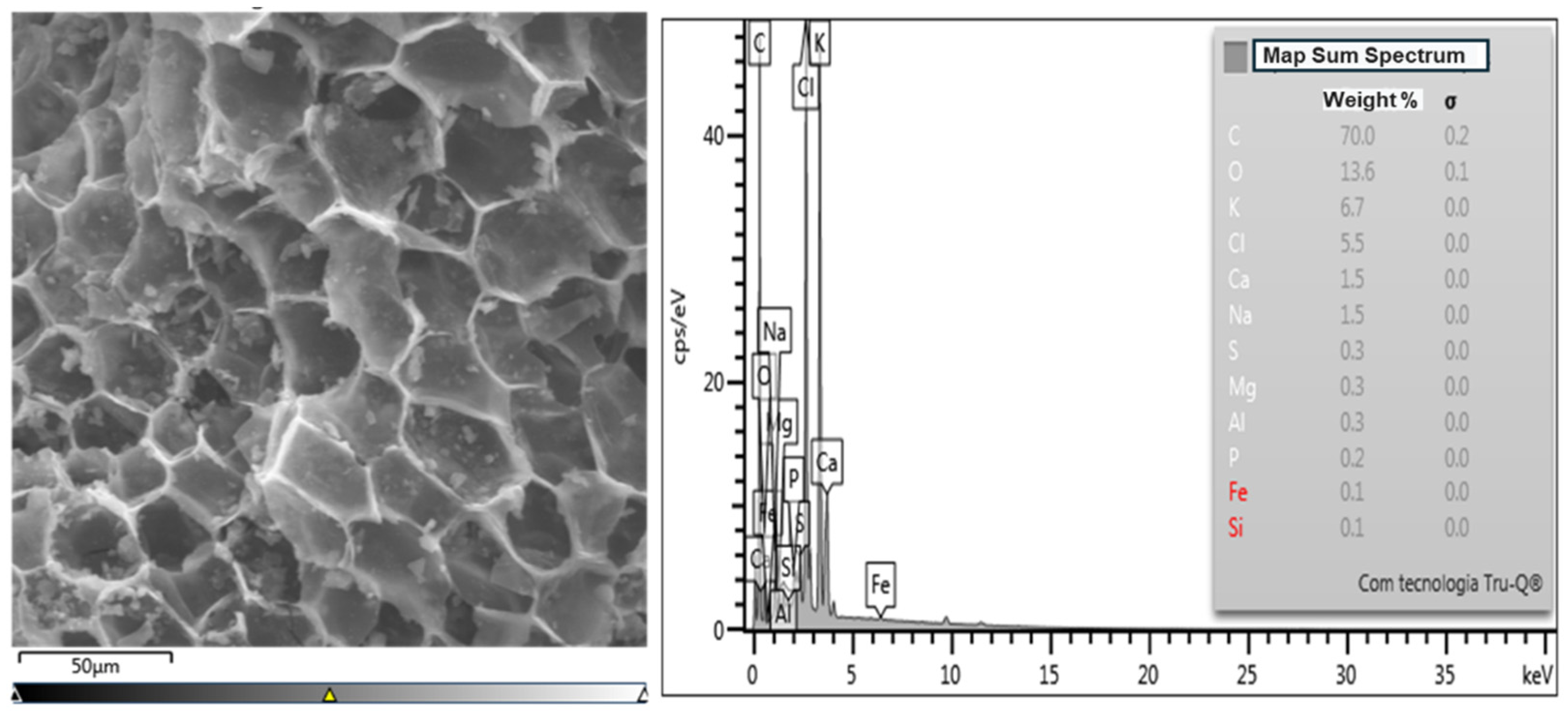 Energies 18 04532 g008 Energies 18 04532 g008