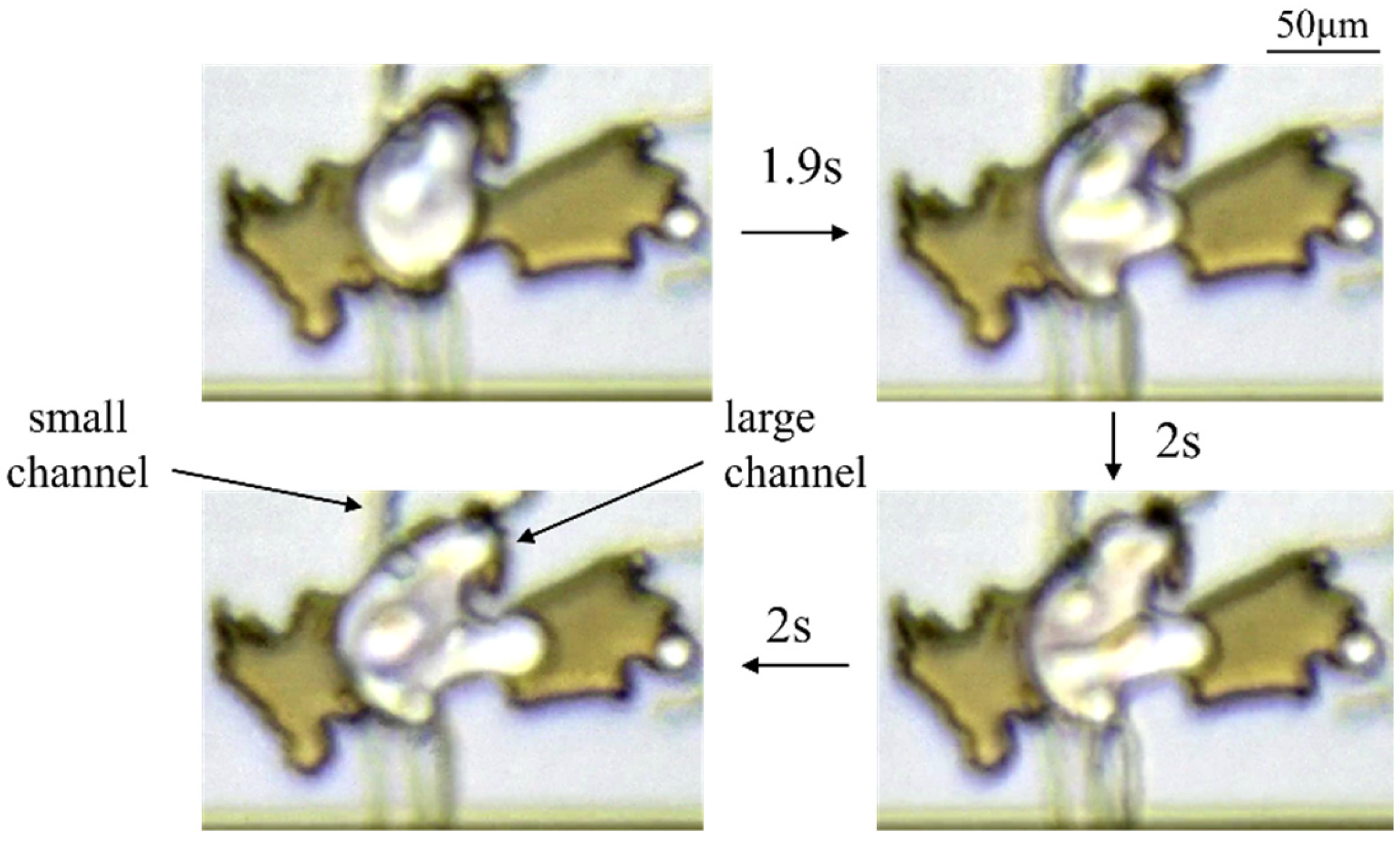 Energies 18 04774 g008