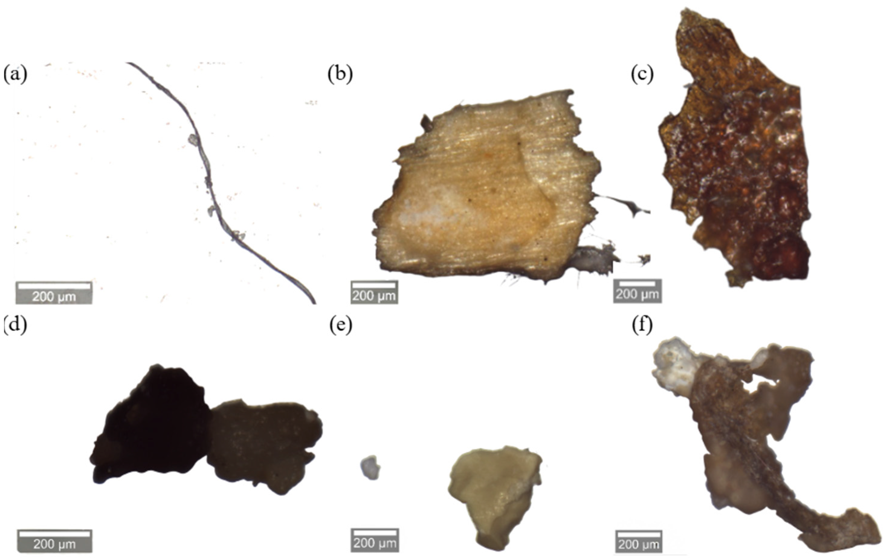 Energies 18 05105 g005 Energies 18 05105 g005