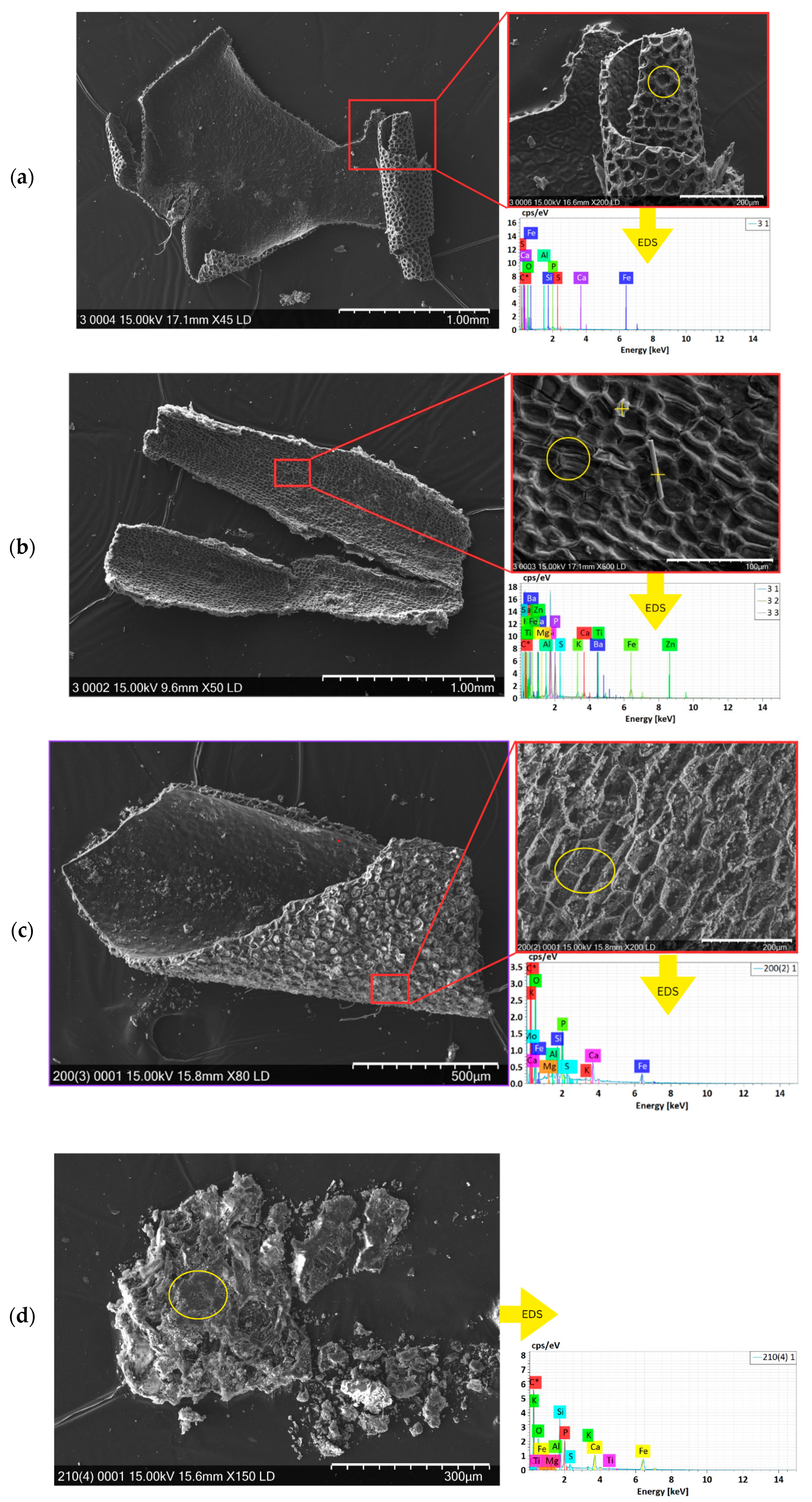 Energies 18 05105 g007 Energies 18 05105 g007