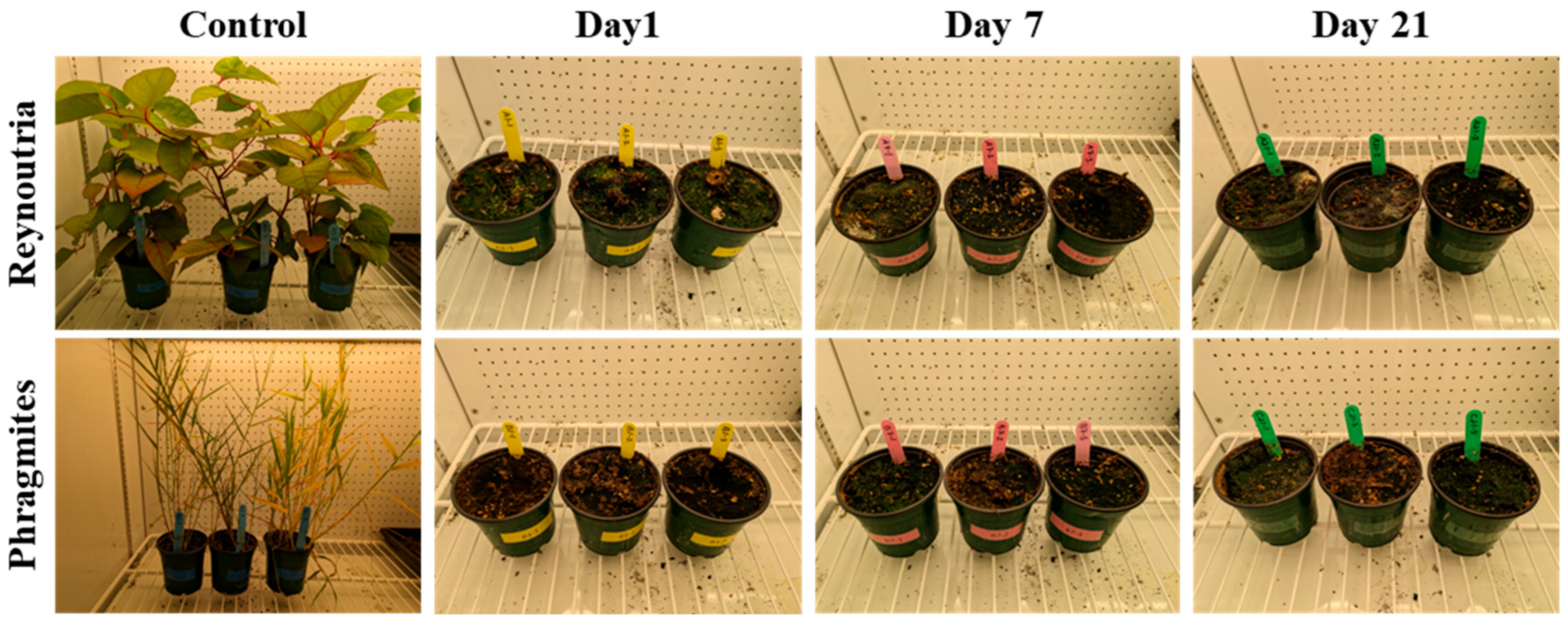 Energies 18 05151 g006