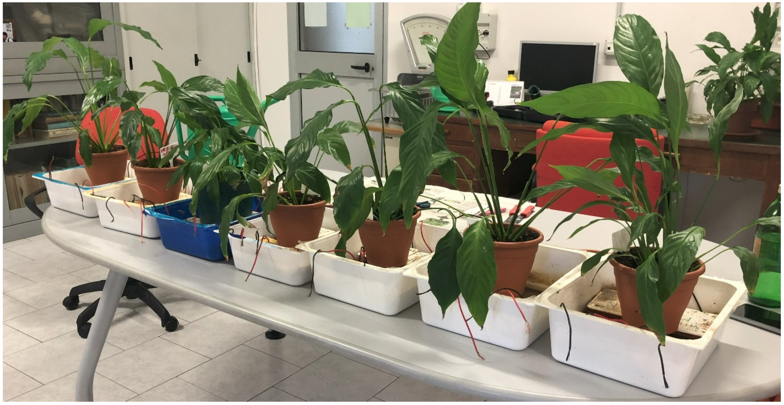 Energies 18 05320 g001