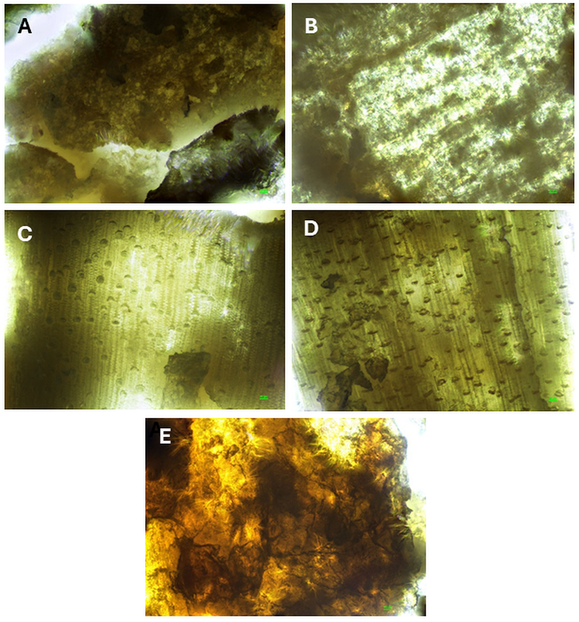 Energies 18 05497 g003 Energies 18 05497 g003