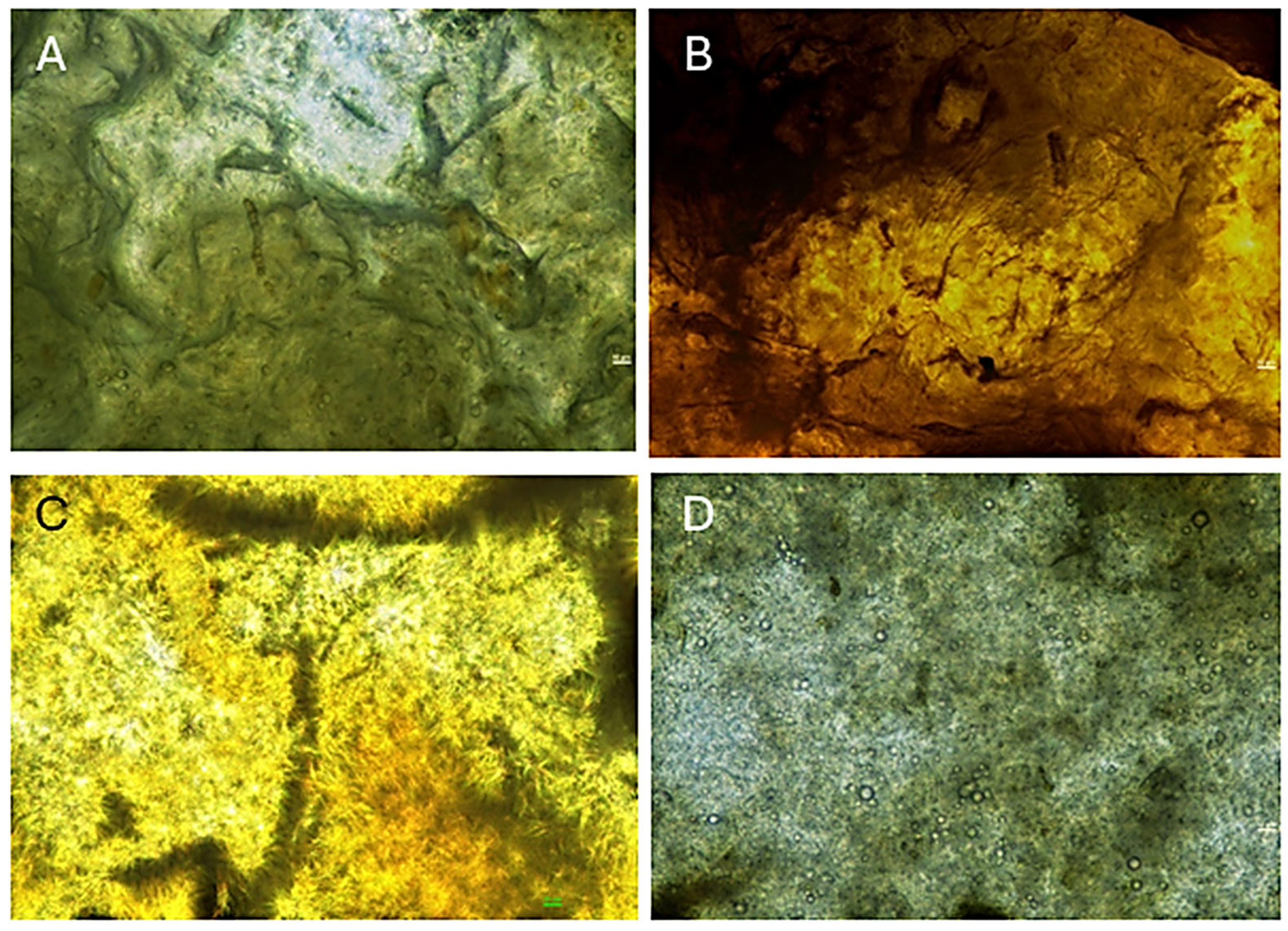 Energies 18 05497 g004 Energies 18 05497 g004