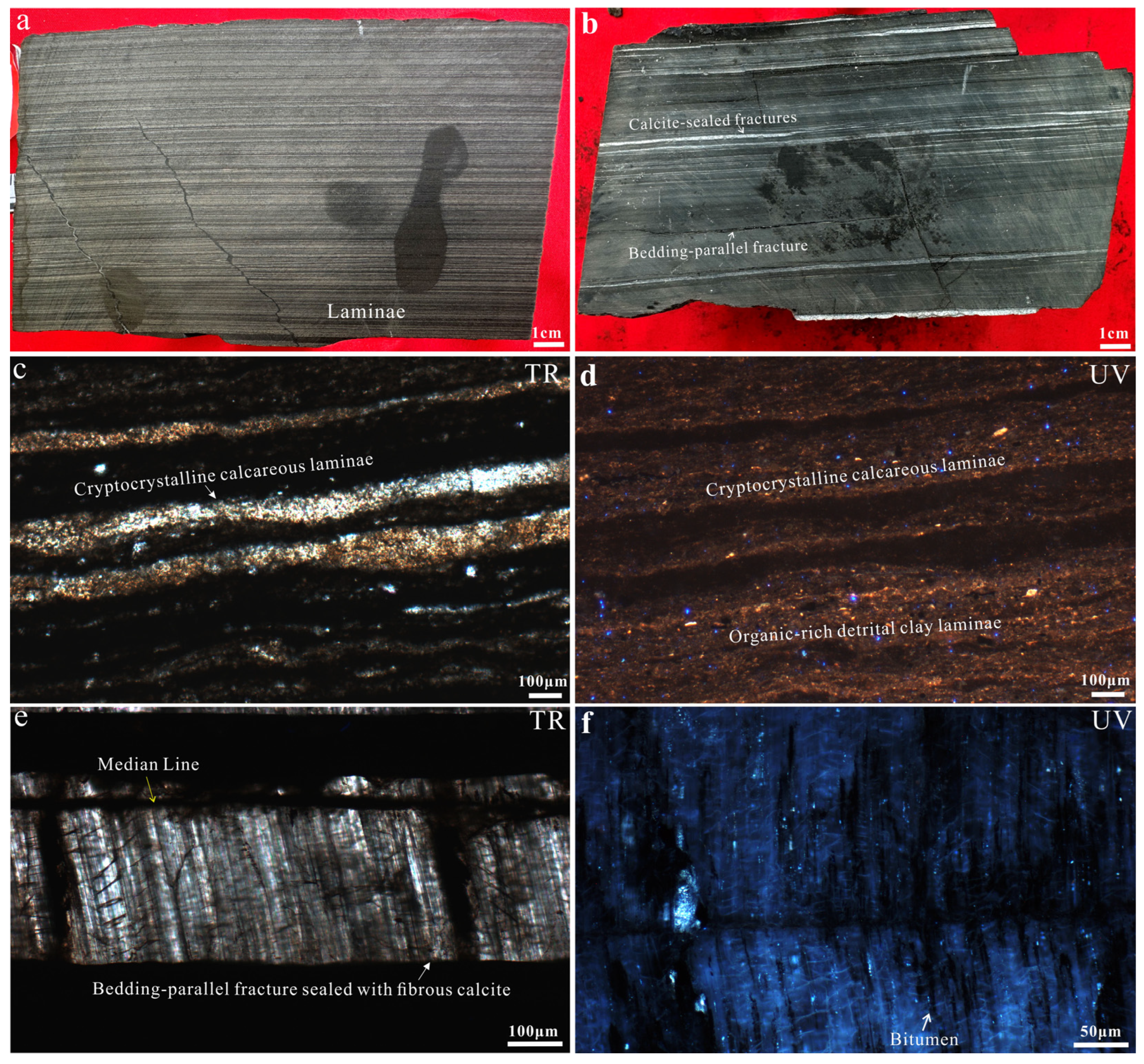 Energies 18 05698 g003 Energies 18 05698 g003