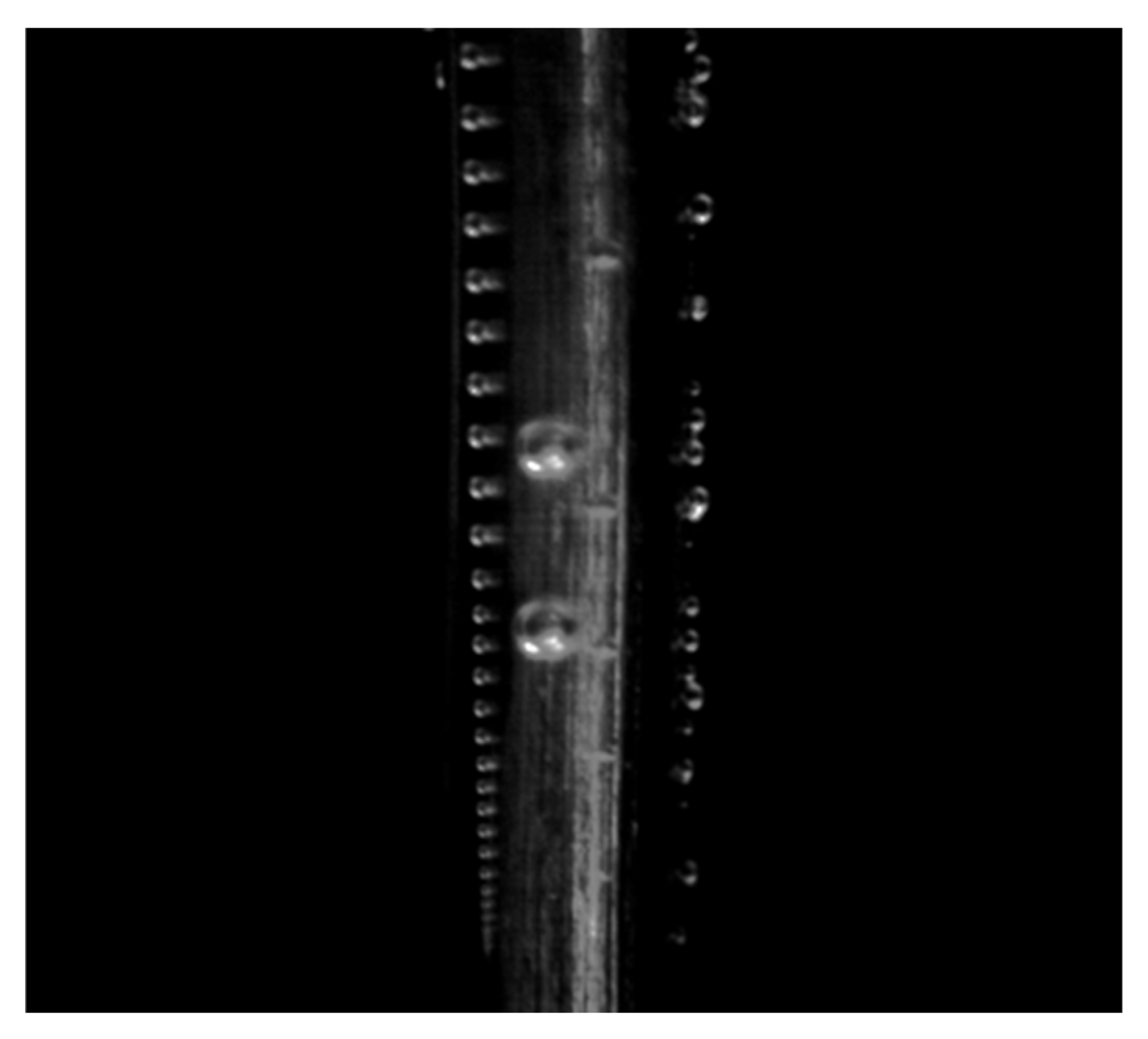 Energies 18 05888 g004 Energies 18 05888 g004