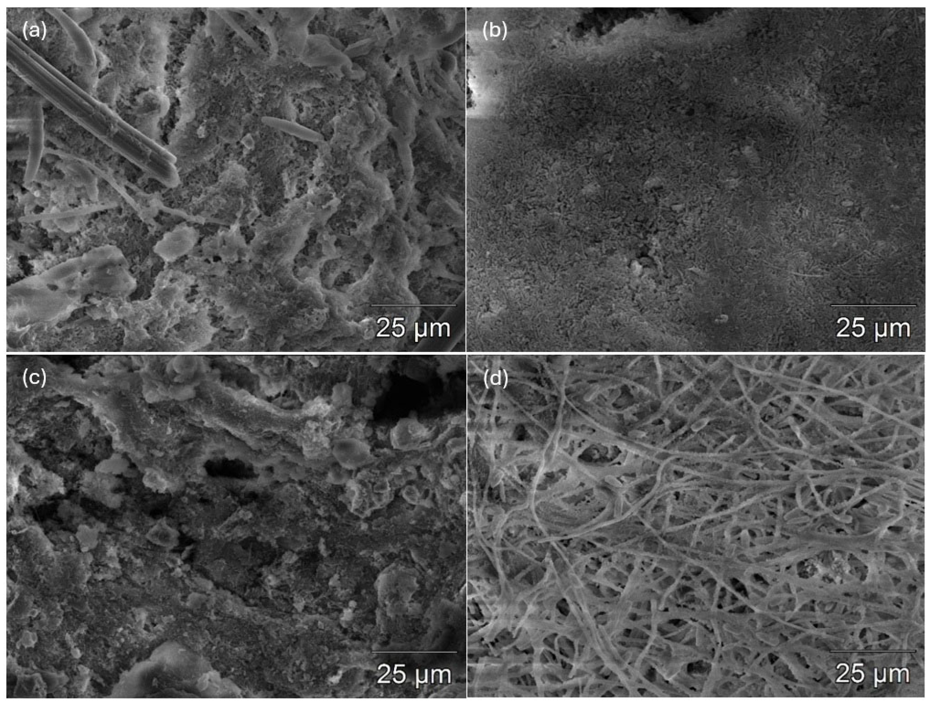 Energies 19 00041 g002