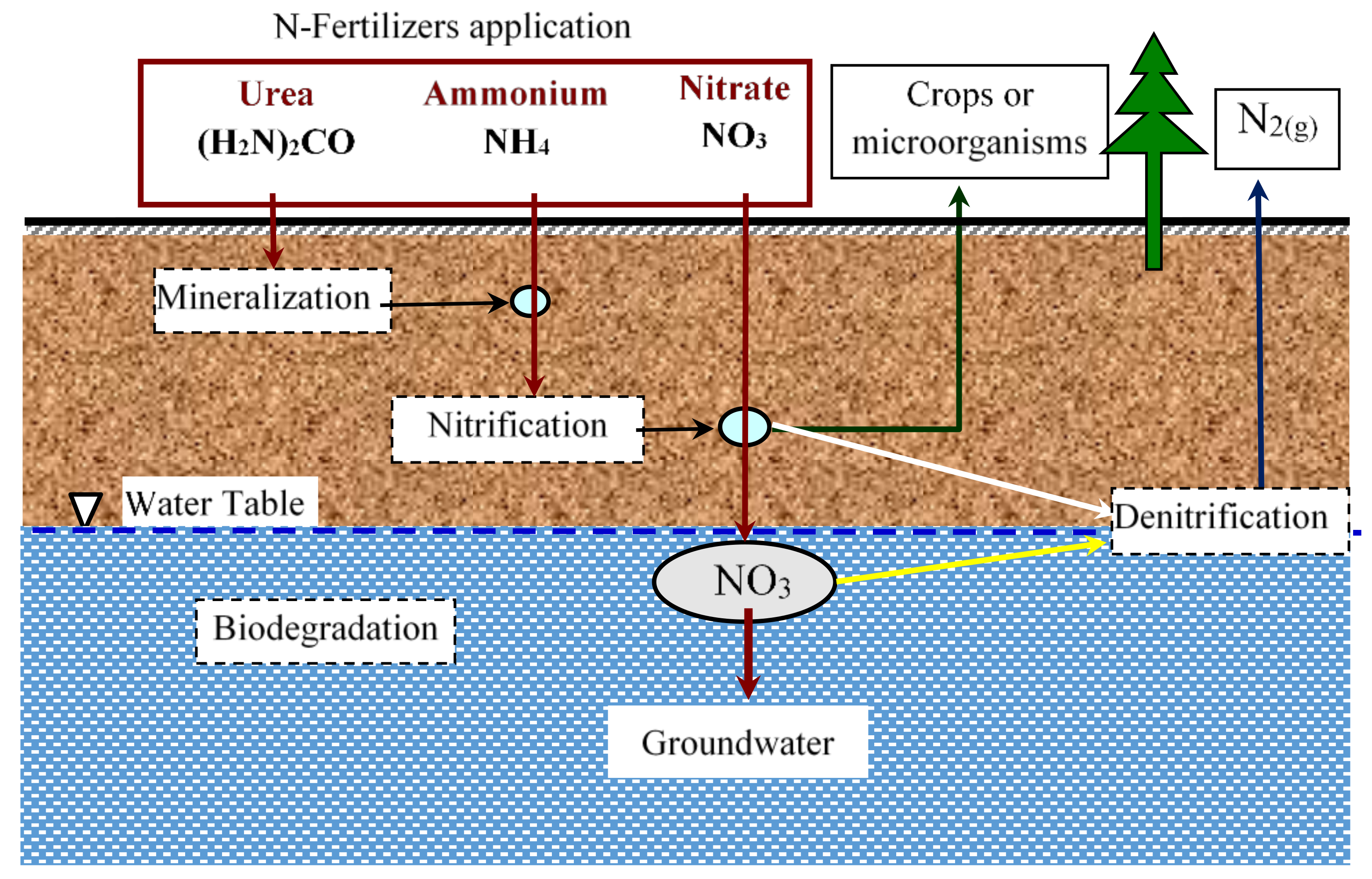 Vadose Nitrate Degradation Model