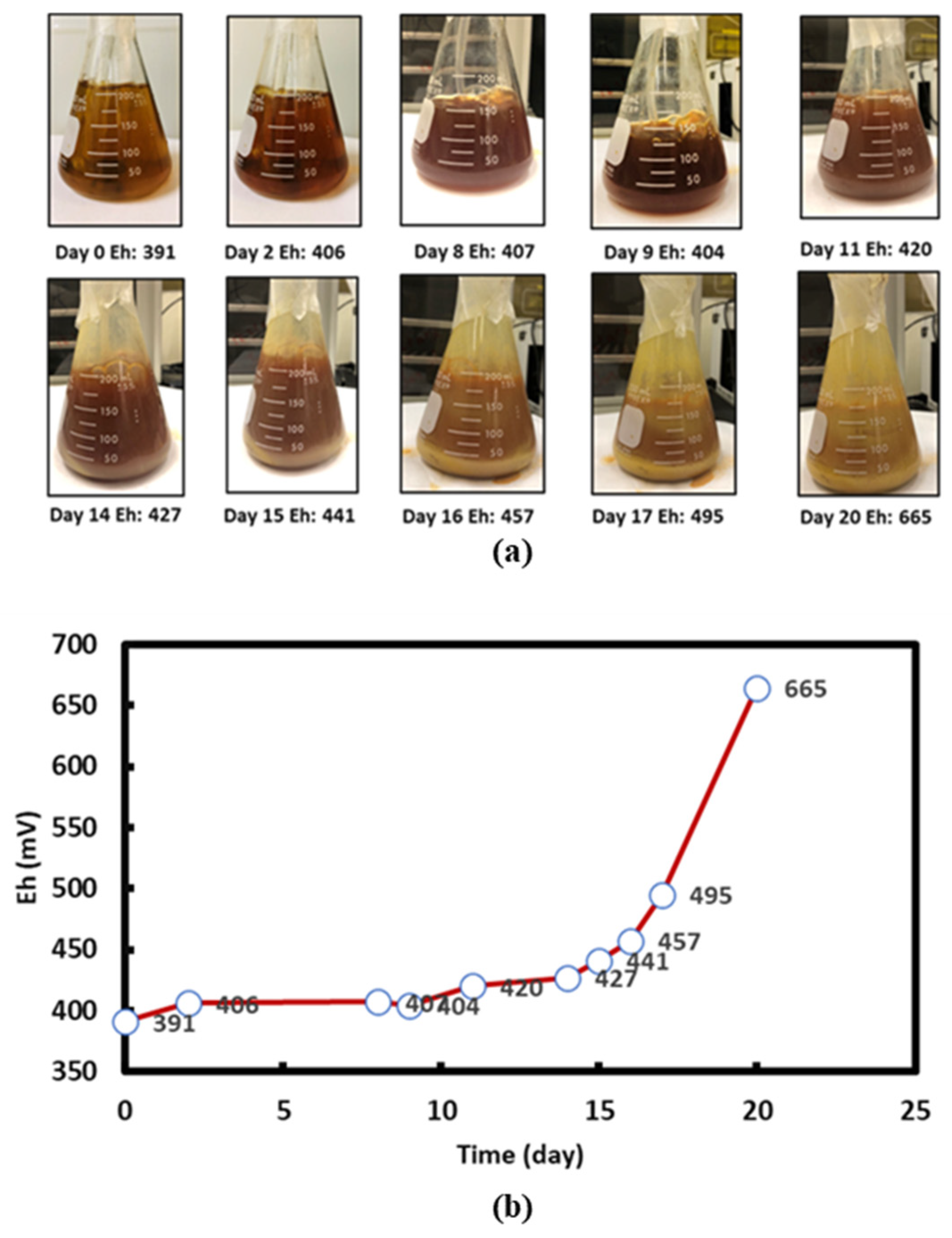 Eng 02 00040 g003 550