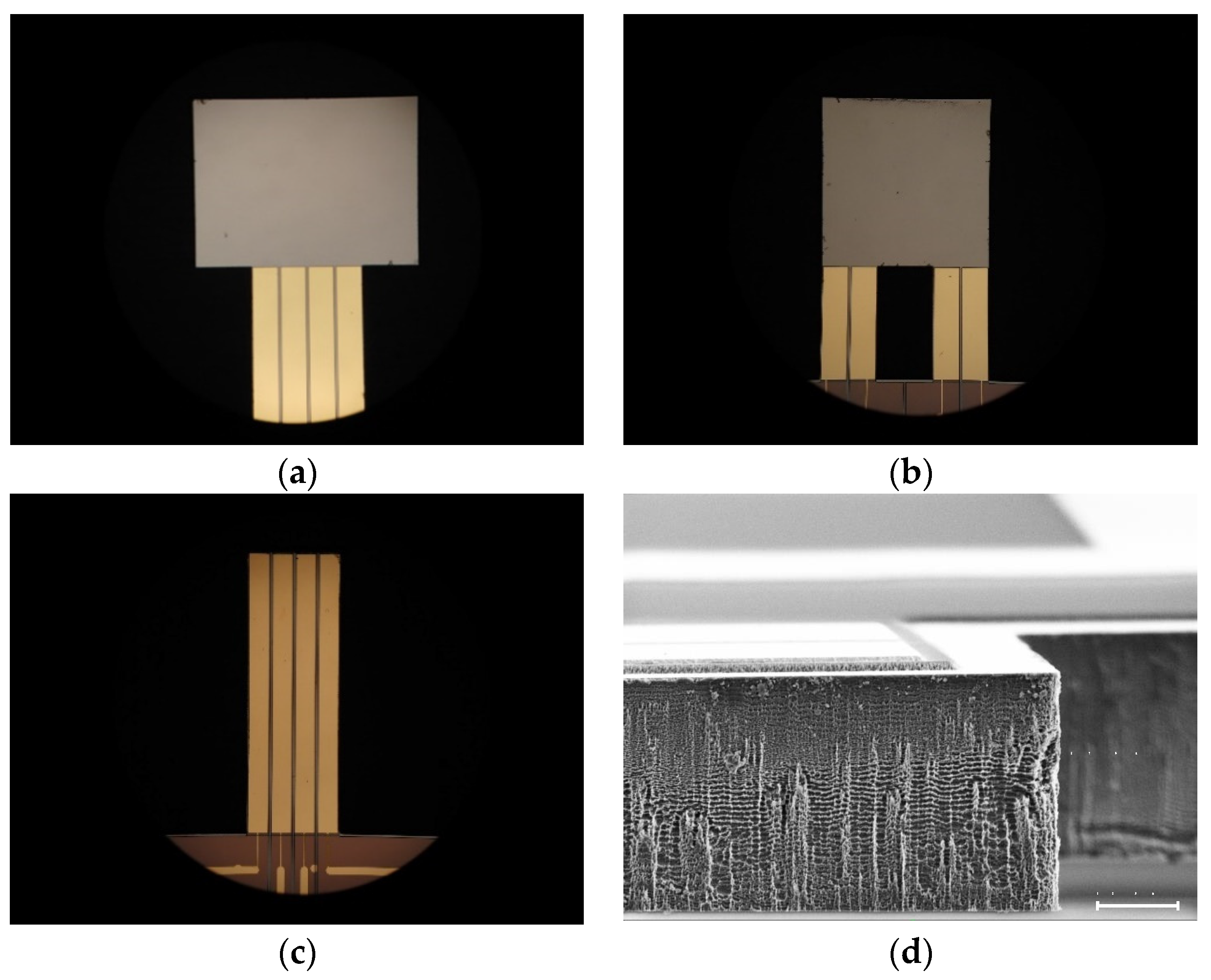 Eng 03 00011 g0a1 550