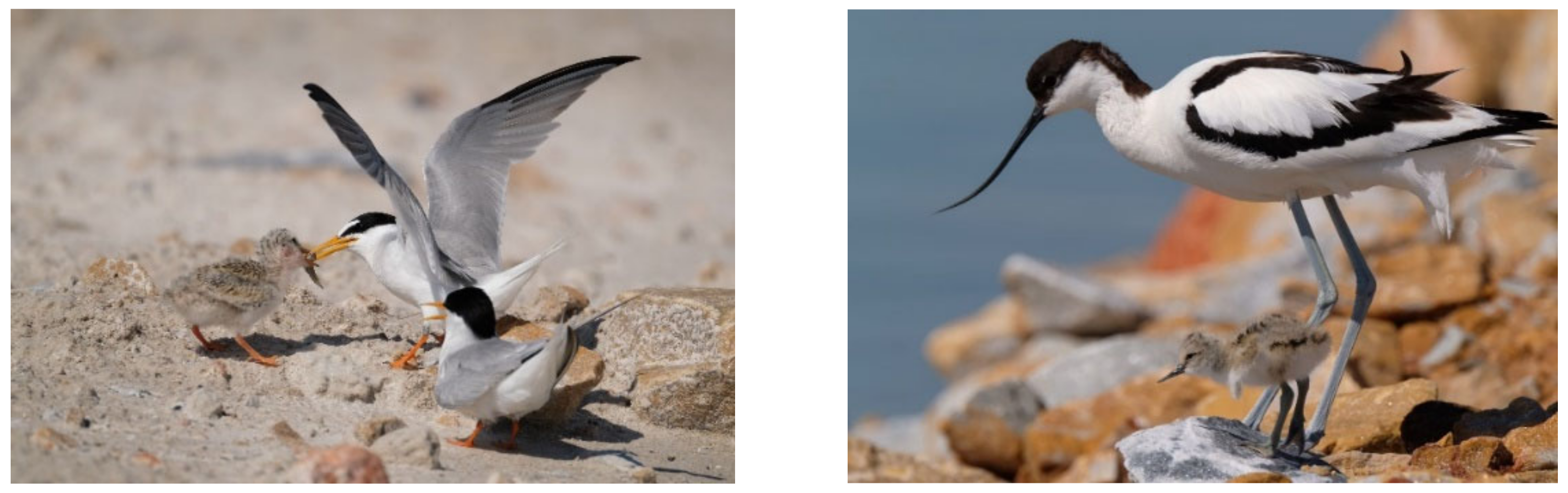 Eng 03 00028 g008 Eng 03 00028 g008