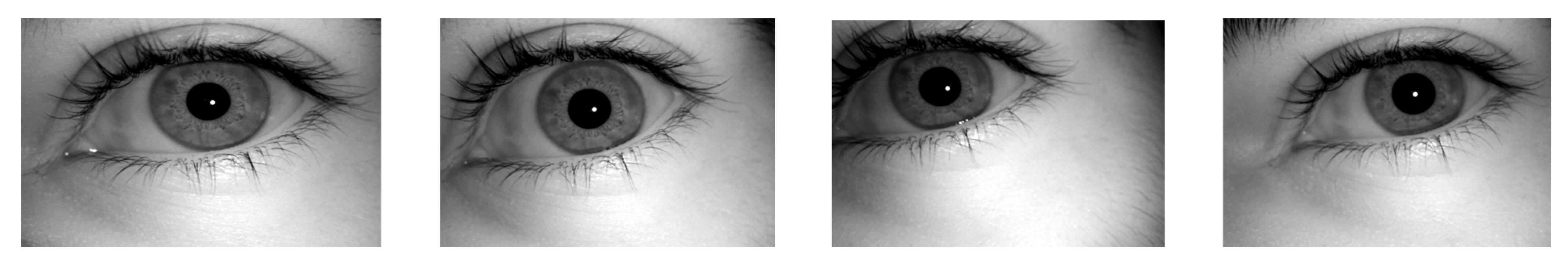 Eng 03 00047 g001 Eng 03 00047 g001