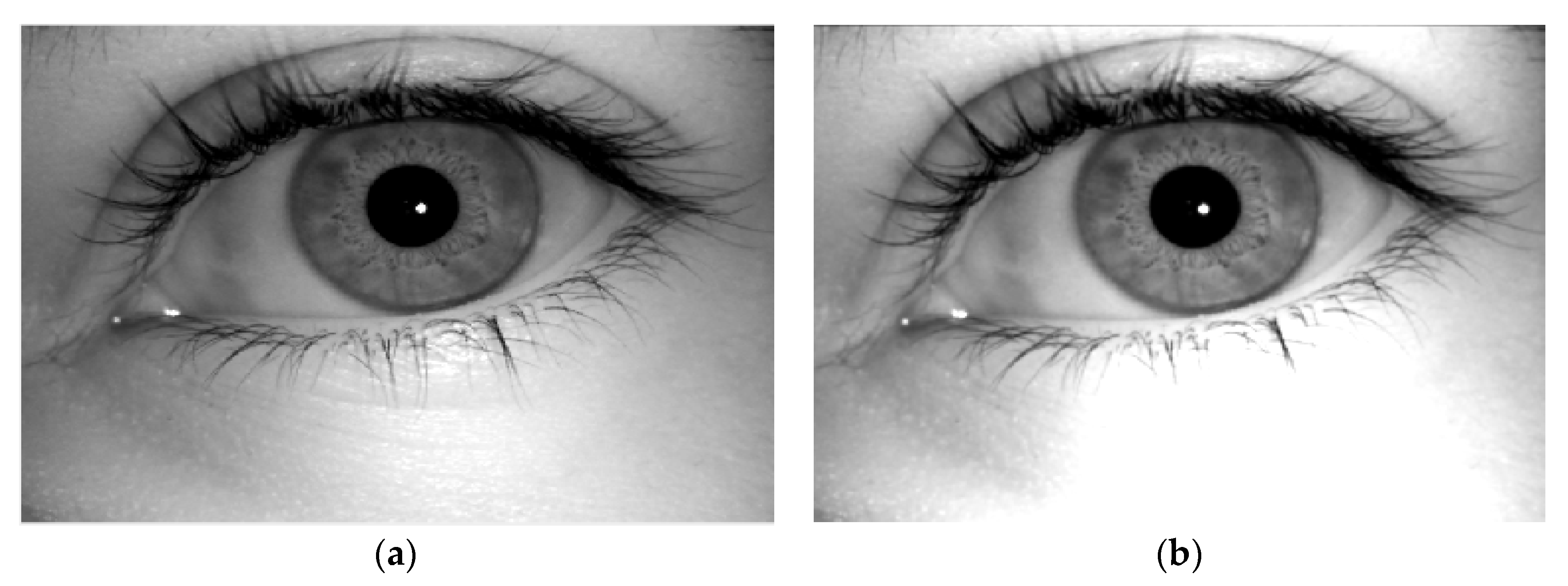 Eng 03 00047 g002 Eng 03 00047 g002