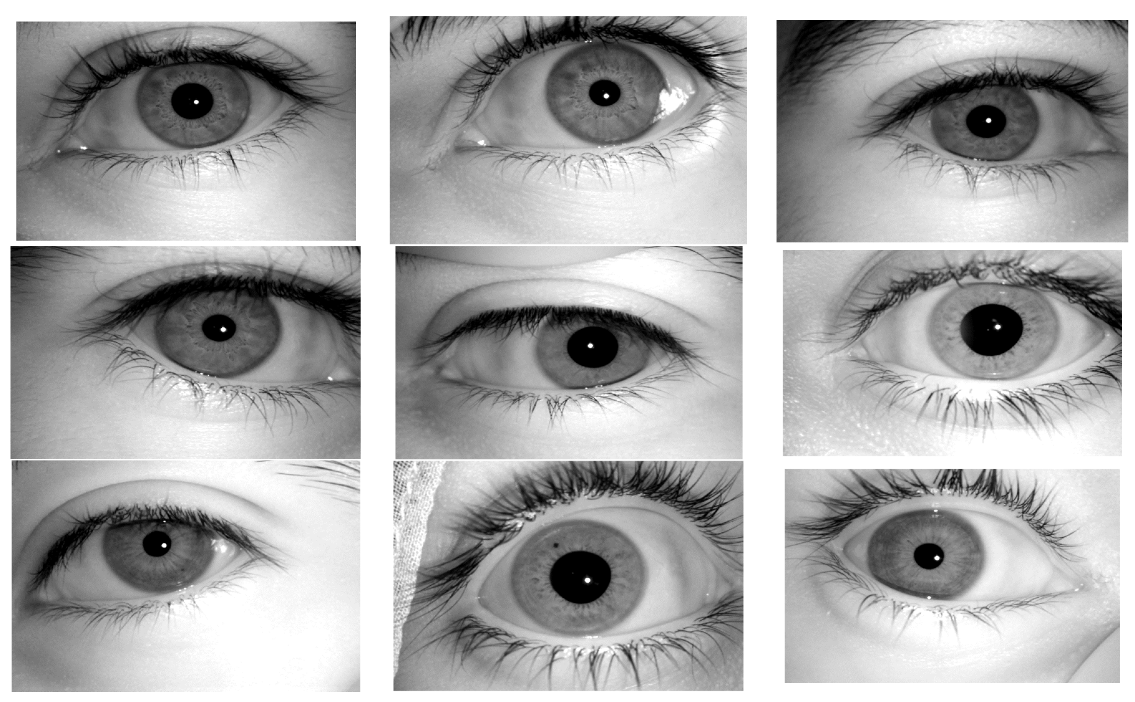 Eng 03 00047 g010 Eng 03 00047 g010