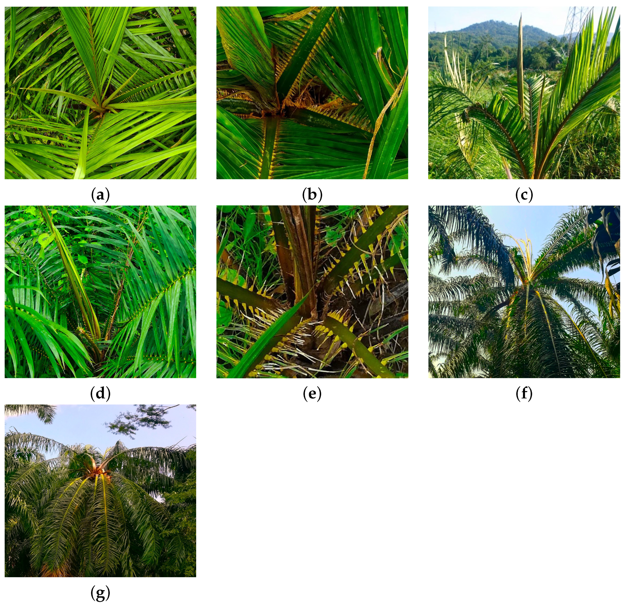 Eng 04 00090 g002 Eng 04 00090 g002