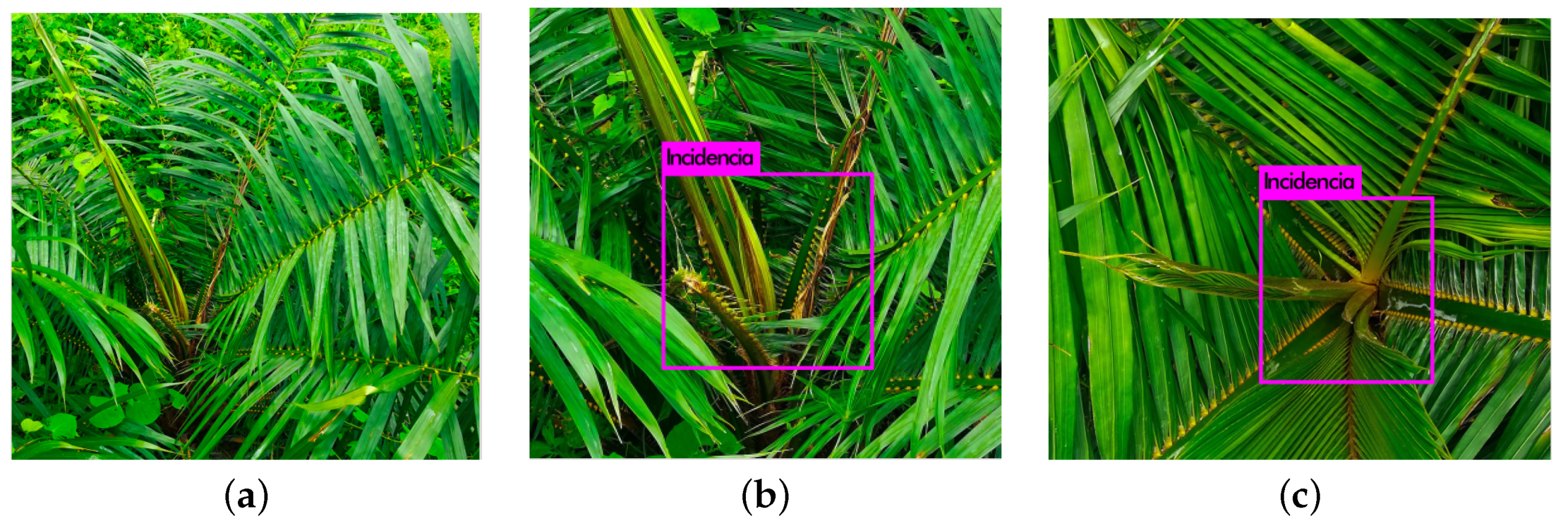 Eng 04 00090 g015 Eng 04 00090 g015