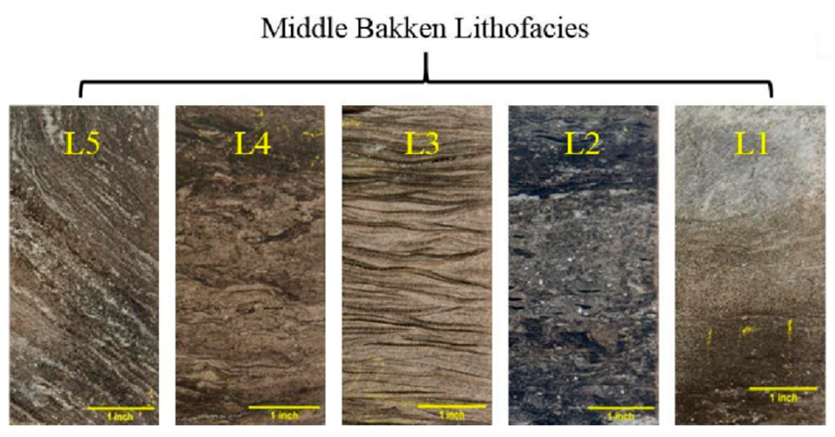 Eng 04 00110 g001 Eng 04 00110 g001