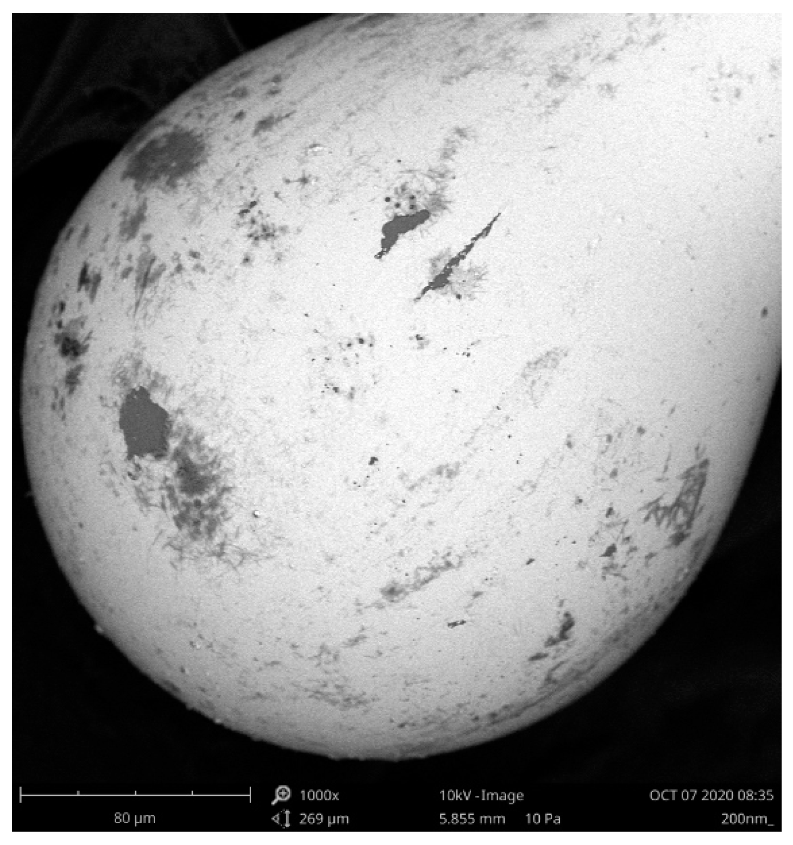 Engproc 02 00099 g001