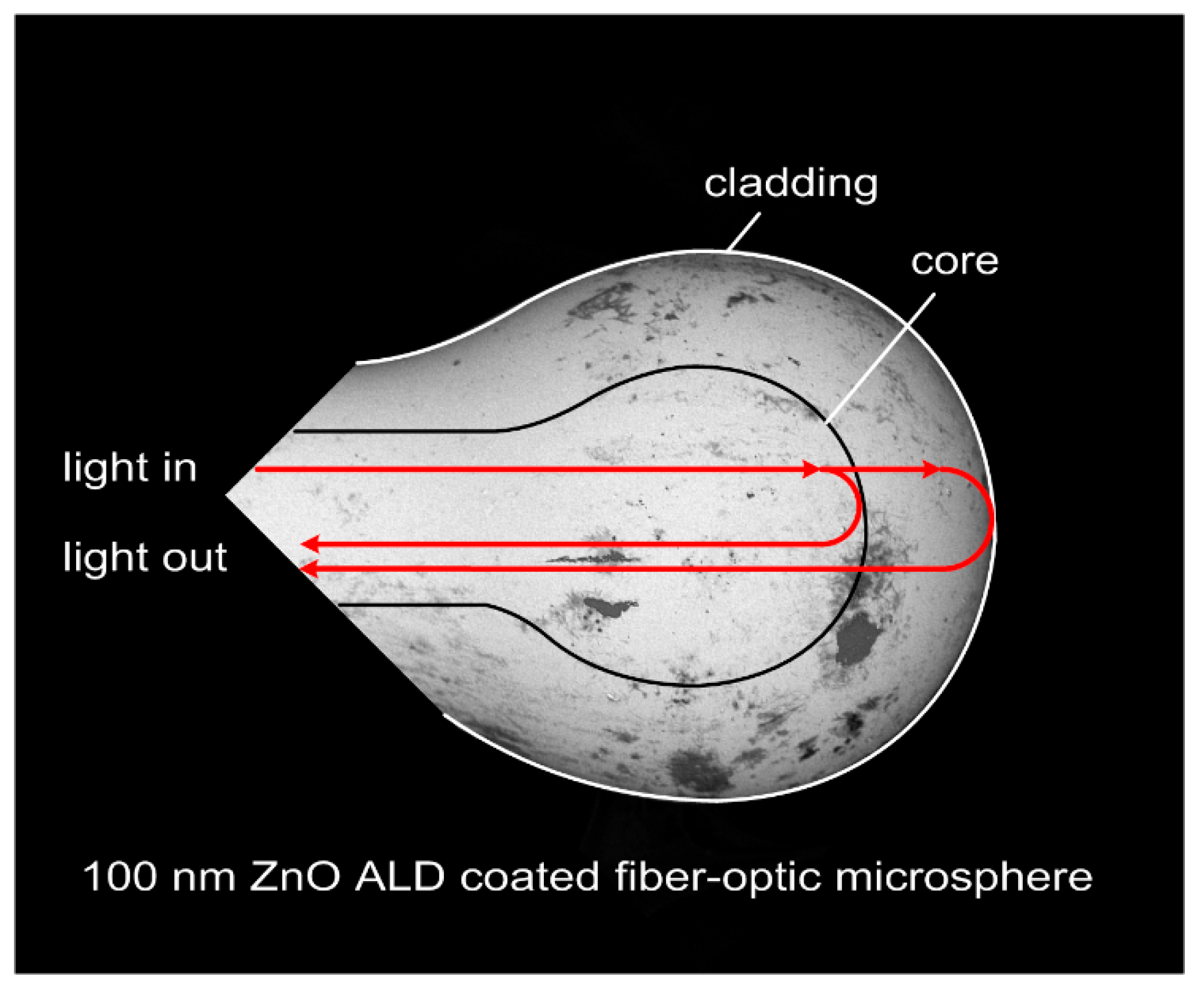 Engproc 02 00099 g002