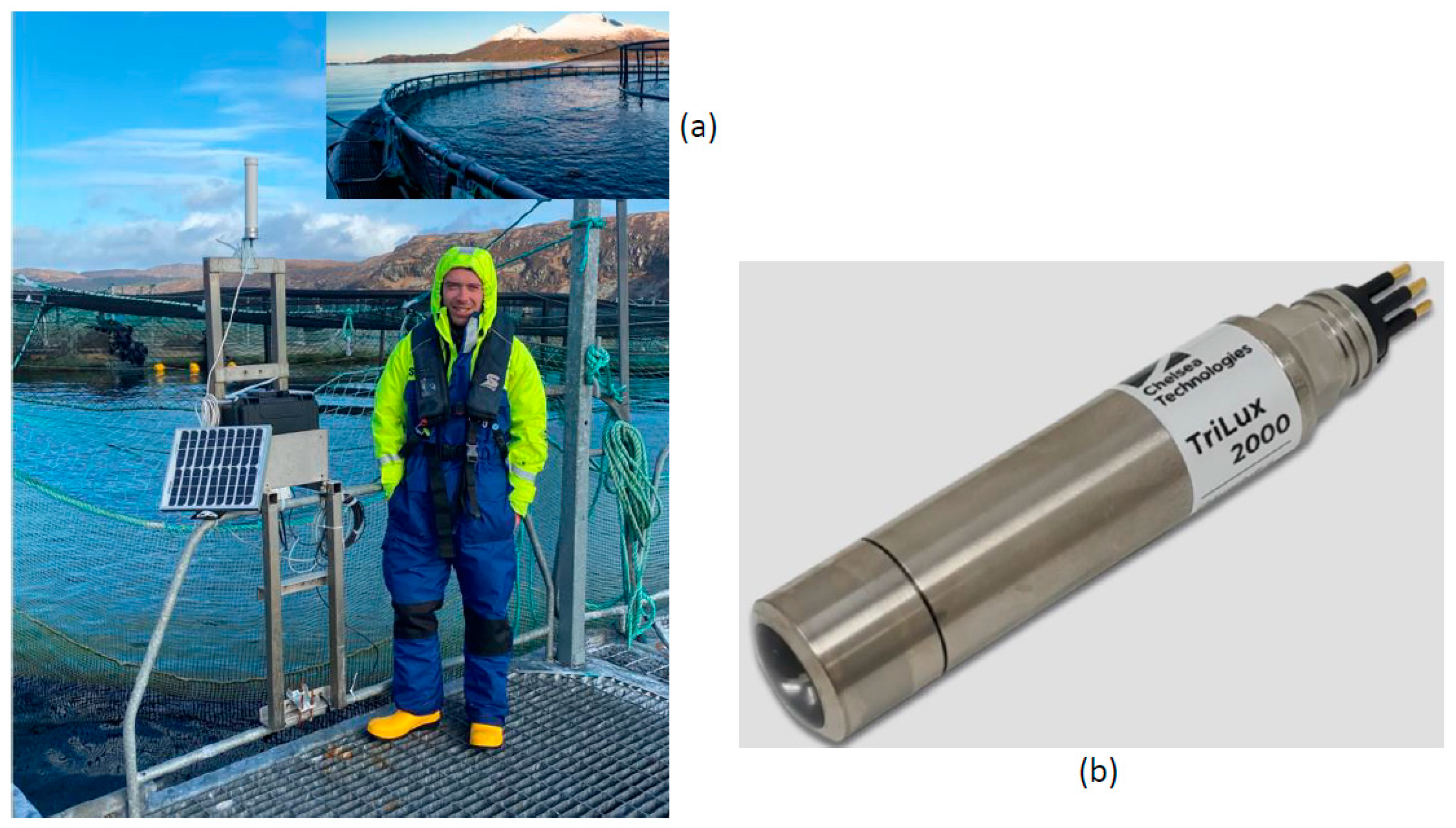 Engproc 05 00027 g001