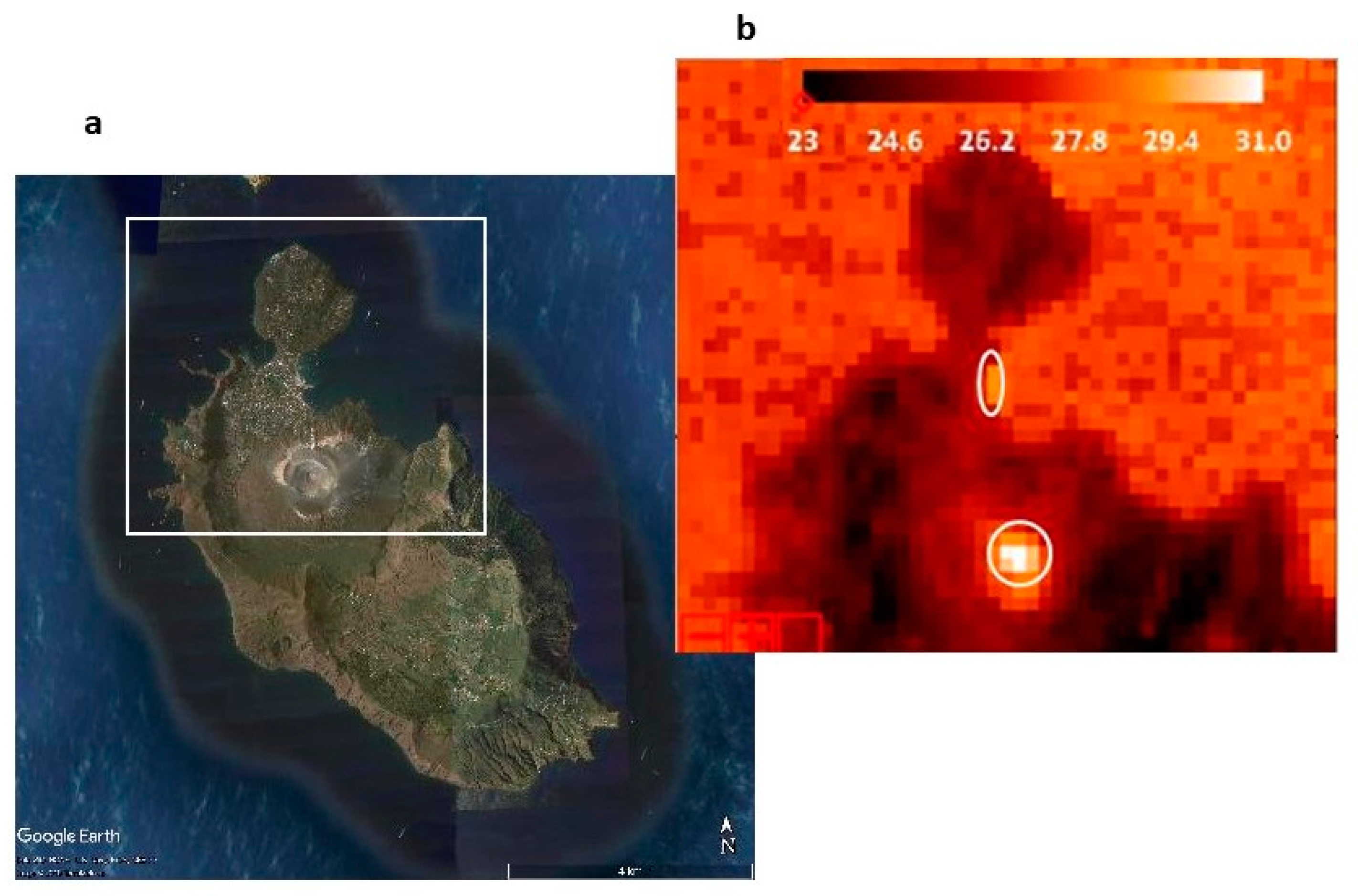 Engproc 05 00047 g004 550