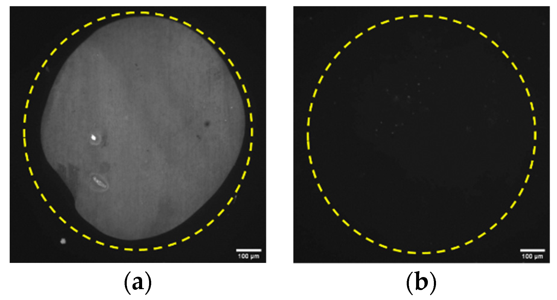 Engproc 06 00043 g003 550