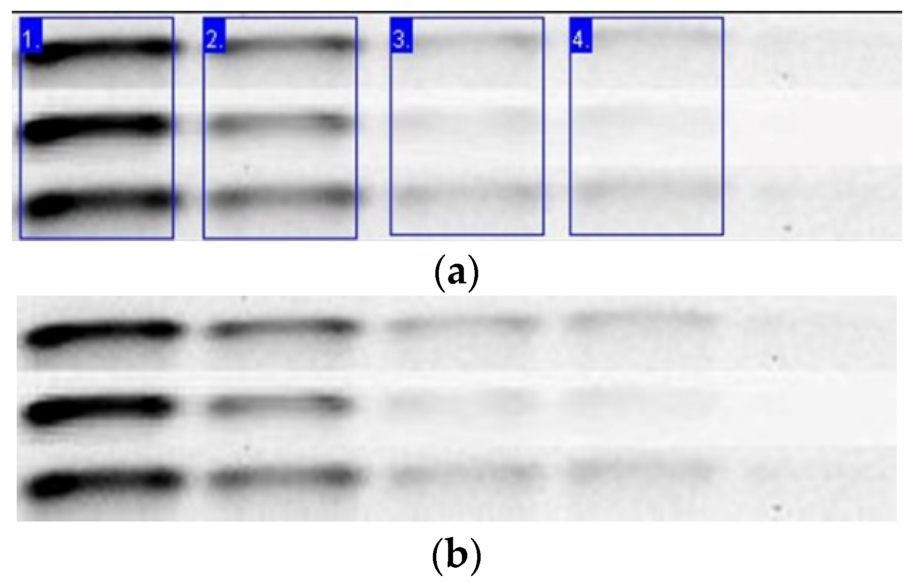 Engproc 06 00044 g003 550