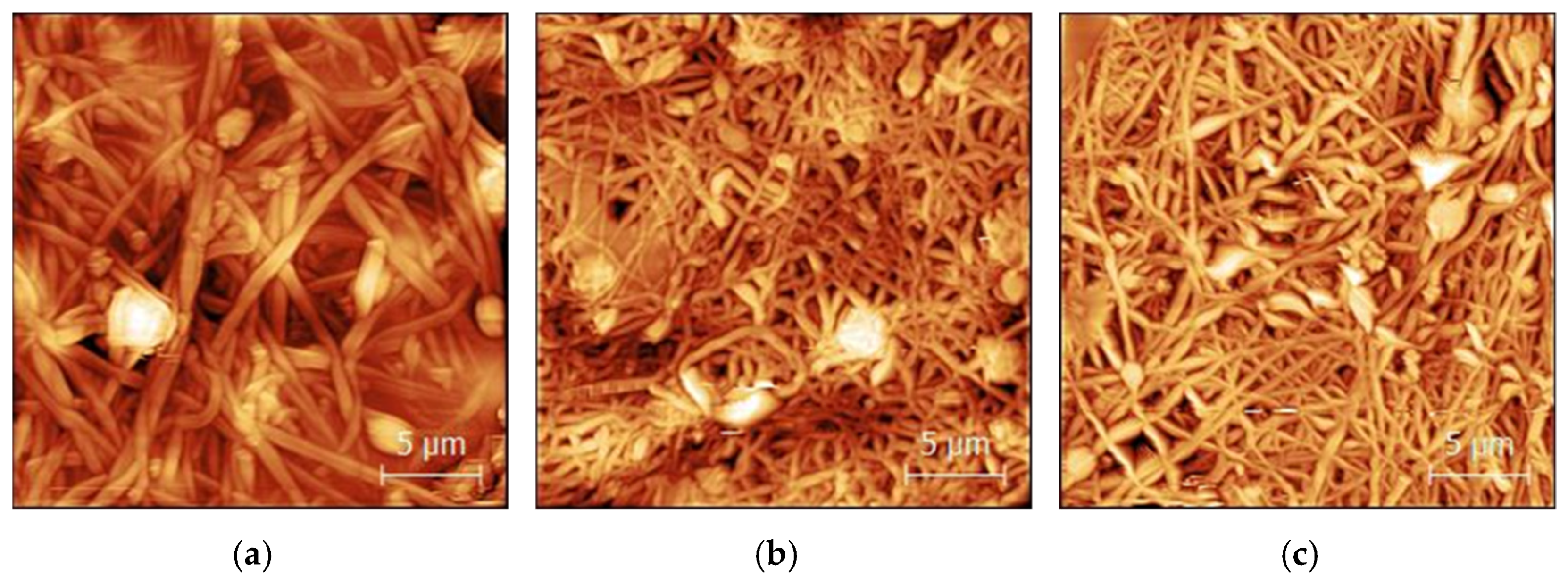 Engproc 06 00076 g001