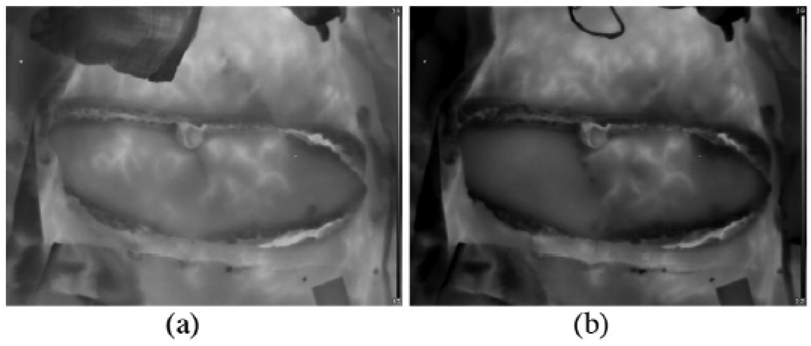 Engproc 08 00003 g001