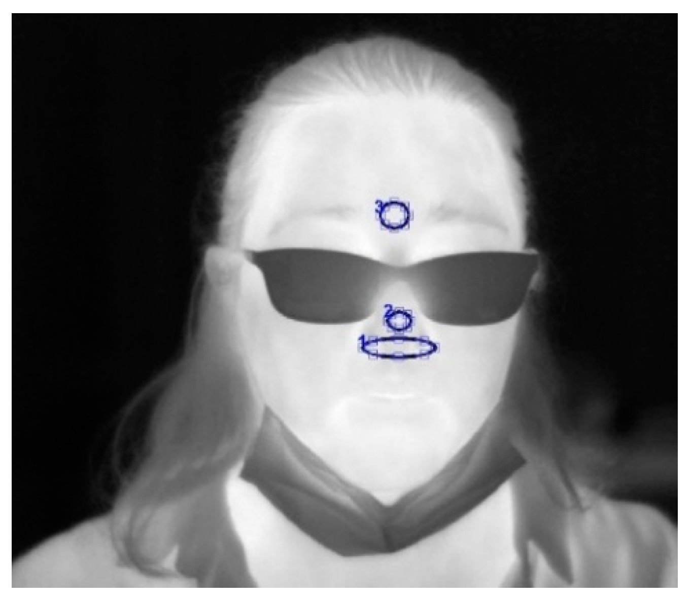 Engproc 08 00010 g001 550