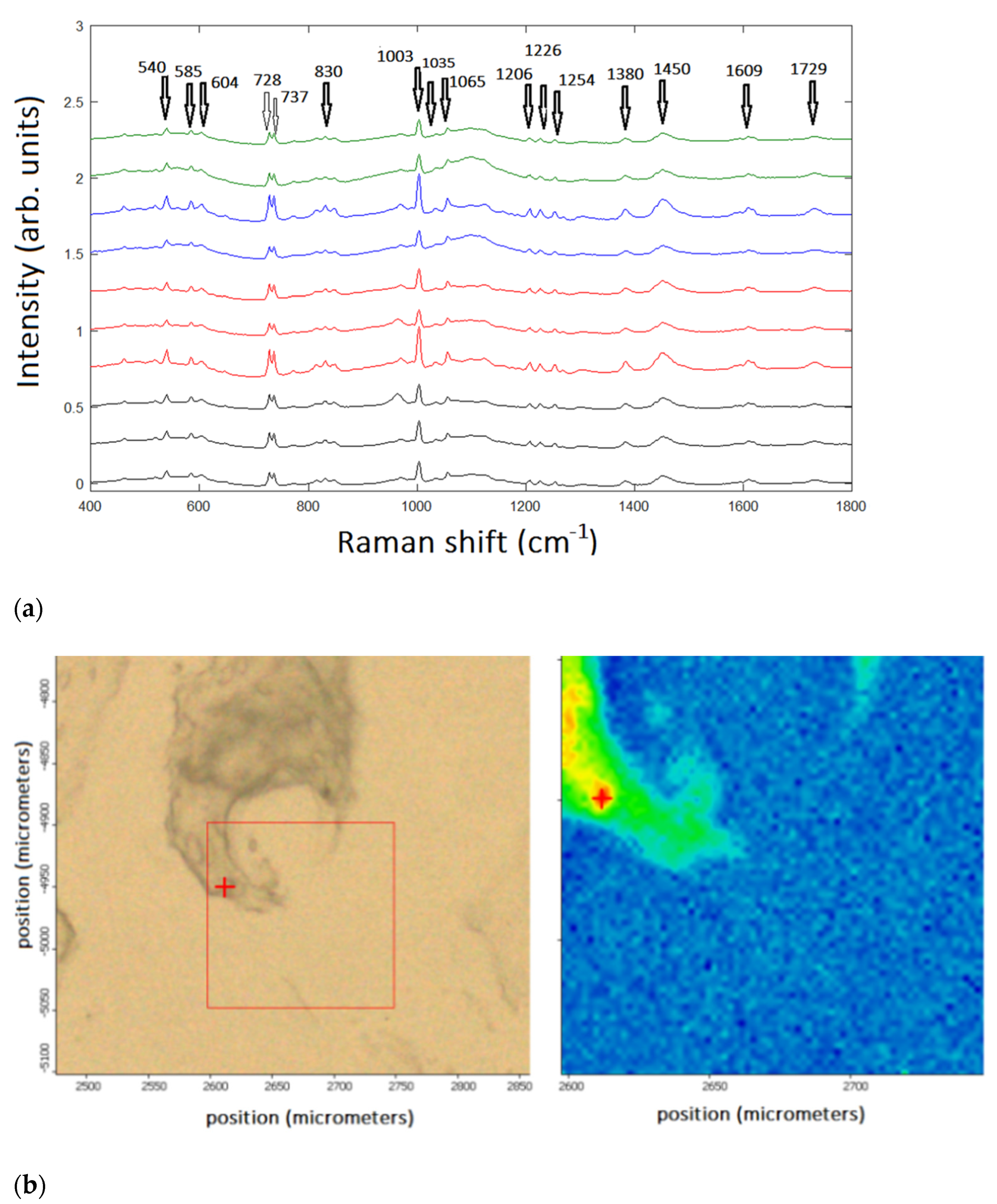 Engproc 08 00012 g001 550
