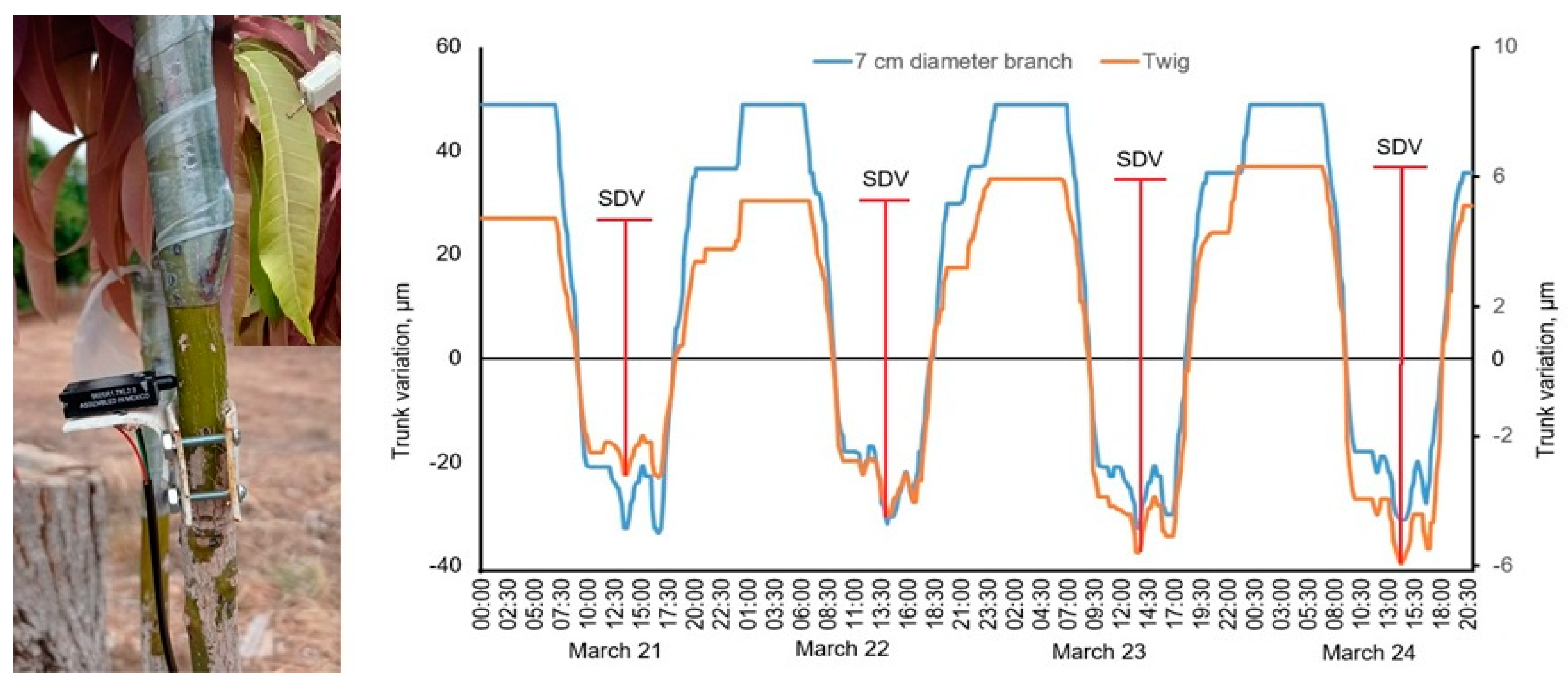 Engproc 09 00028 g002 550