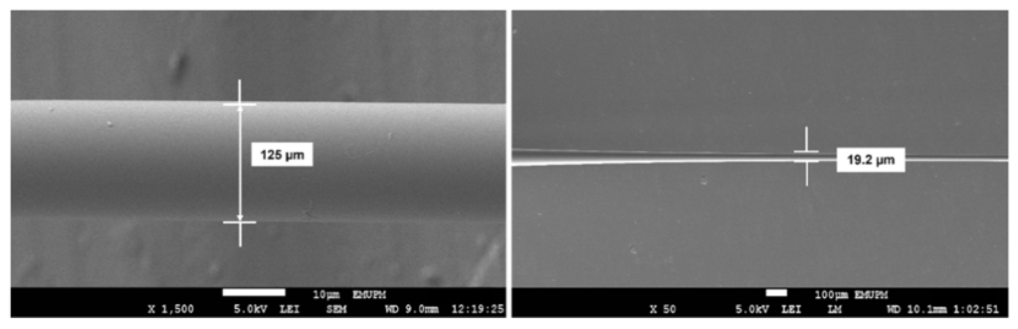 Engproc 10 00075 g001