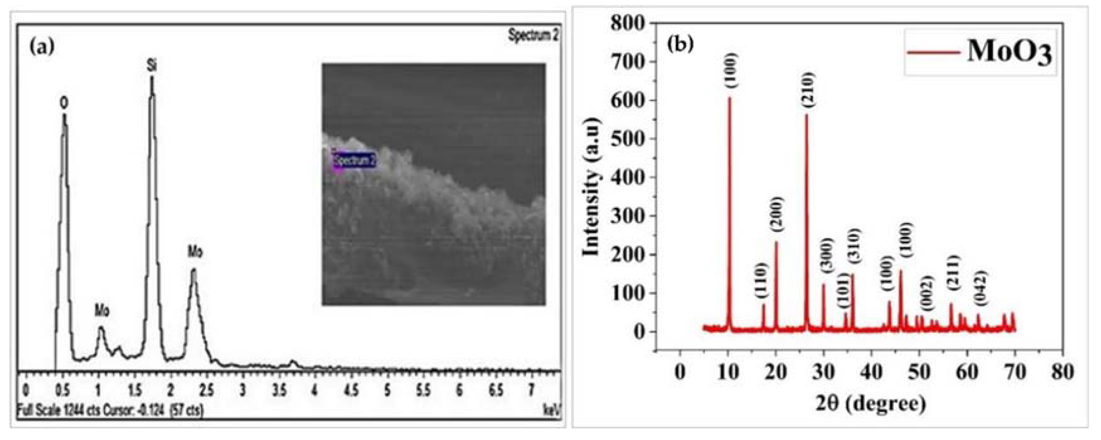 Engproc 10 00075 g004