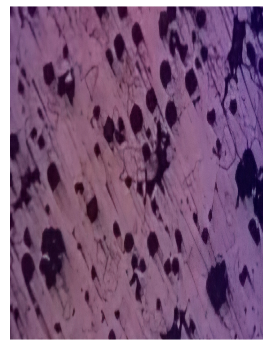 Engproc 100 00032 g006