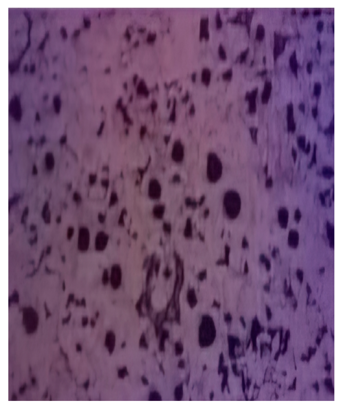 Engproc 100 00032 g008