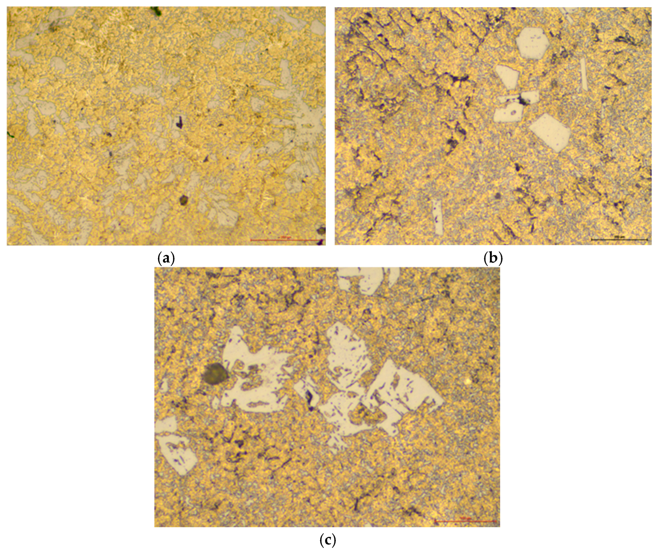 Engproc 100 00046 g001