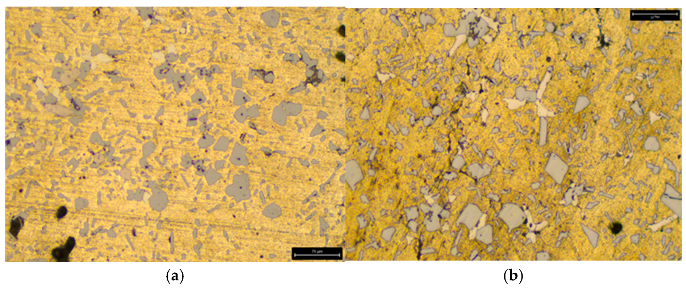 Engproc 100 00046 g003